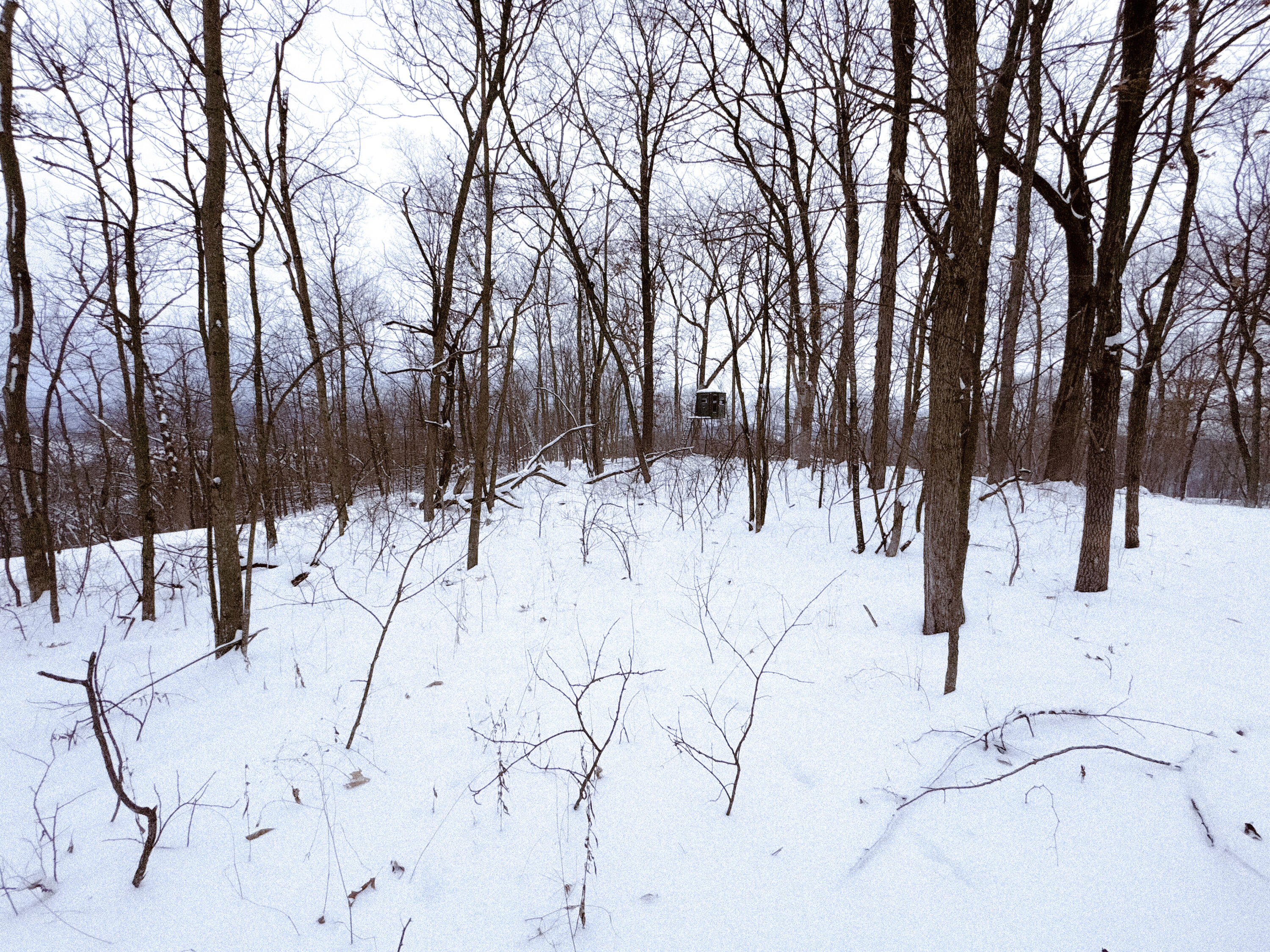 W27022 Whistlers Pass Dodge WI 54625 1947066 image68