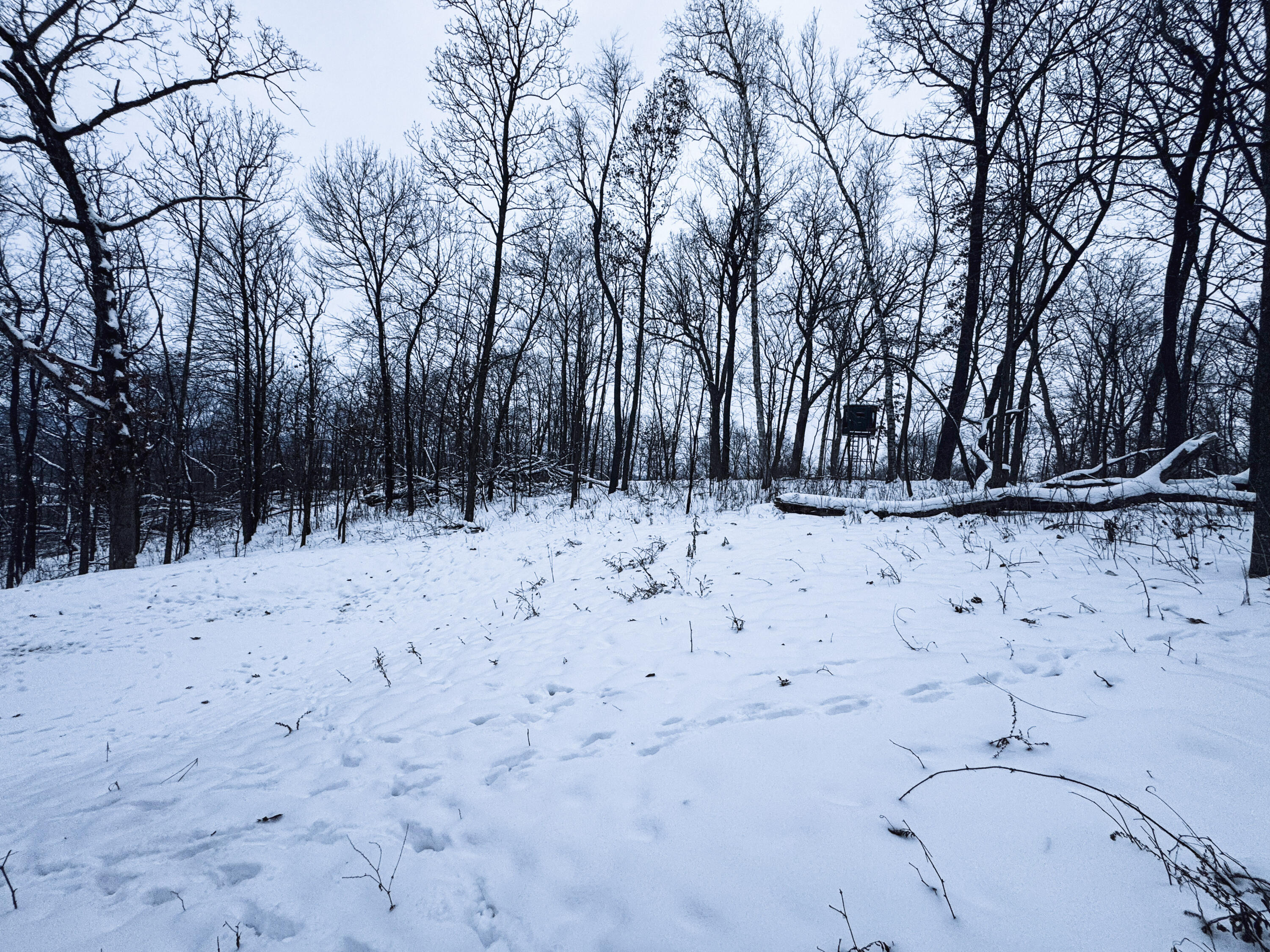 W27022 Whistlers Pass Dodge WI 54625 1947066 image69