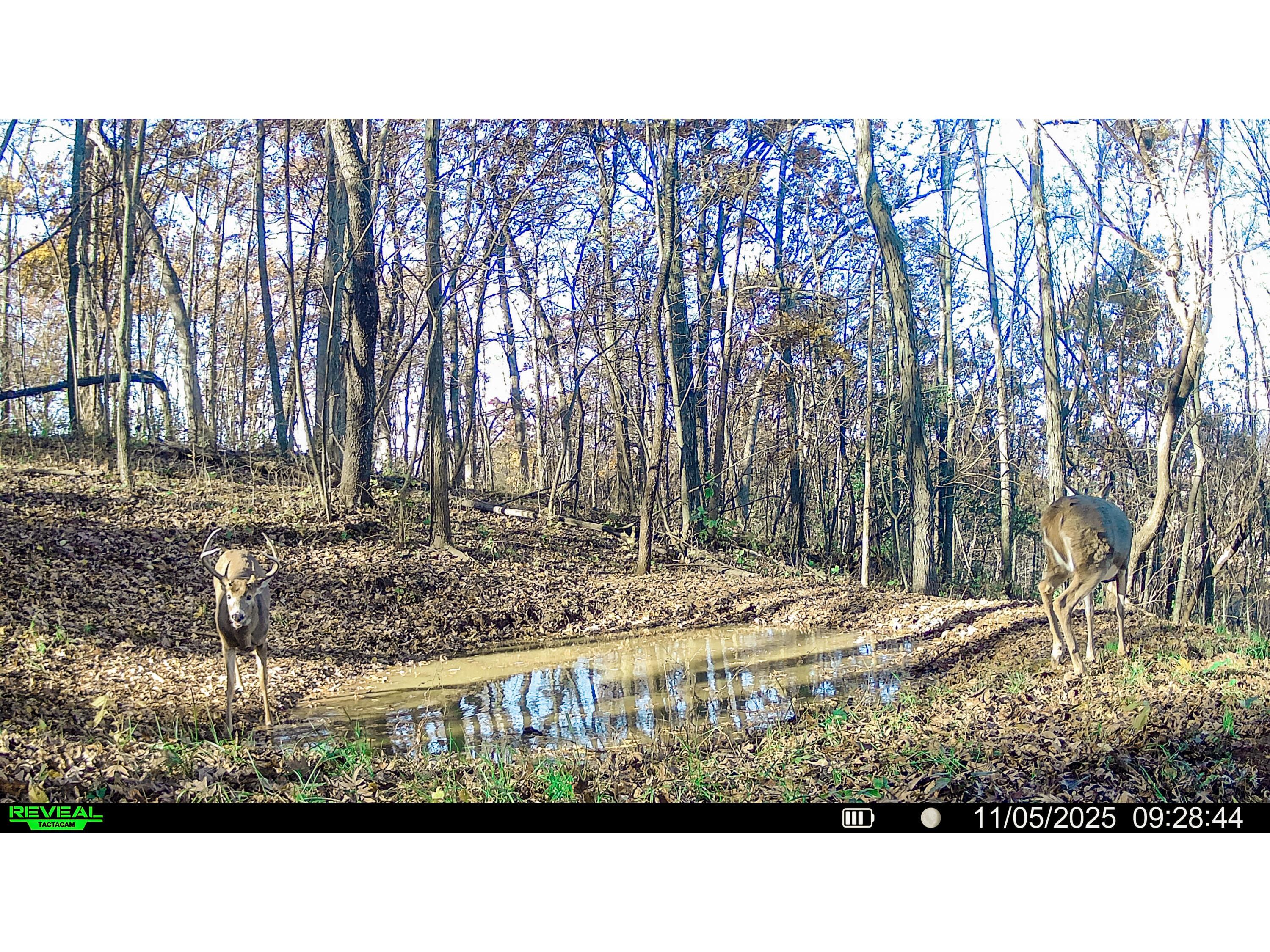 W27022 Whistlers Pass Dodge WI 54625 1947066 image70