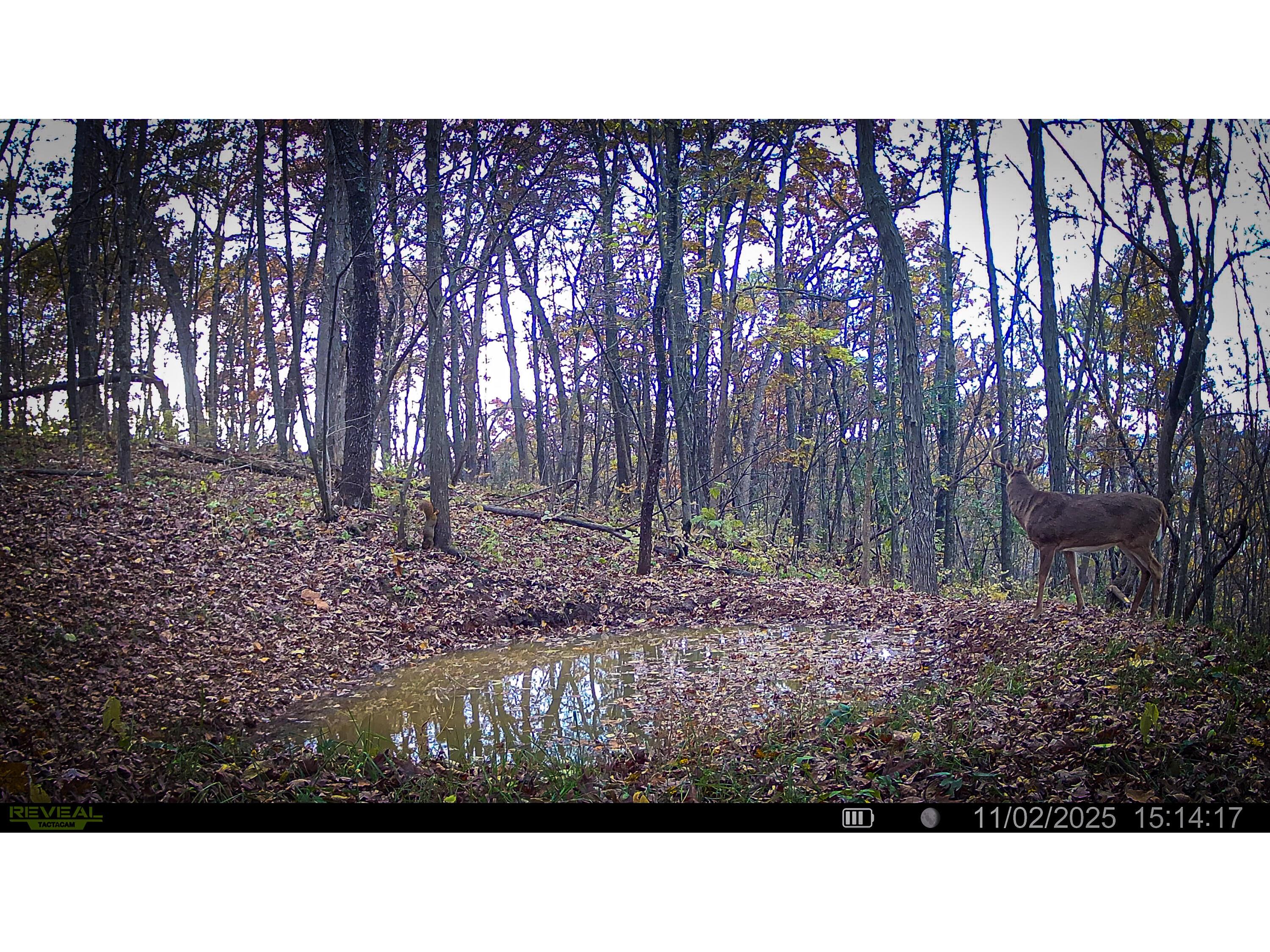 W27022 Whistlers Pass Dodge WI 54625 1947066 image71