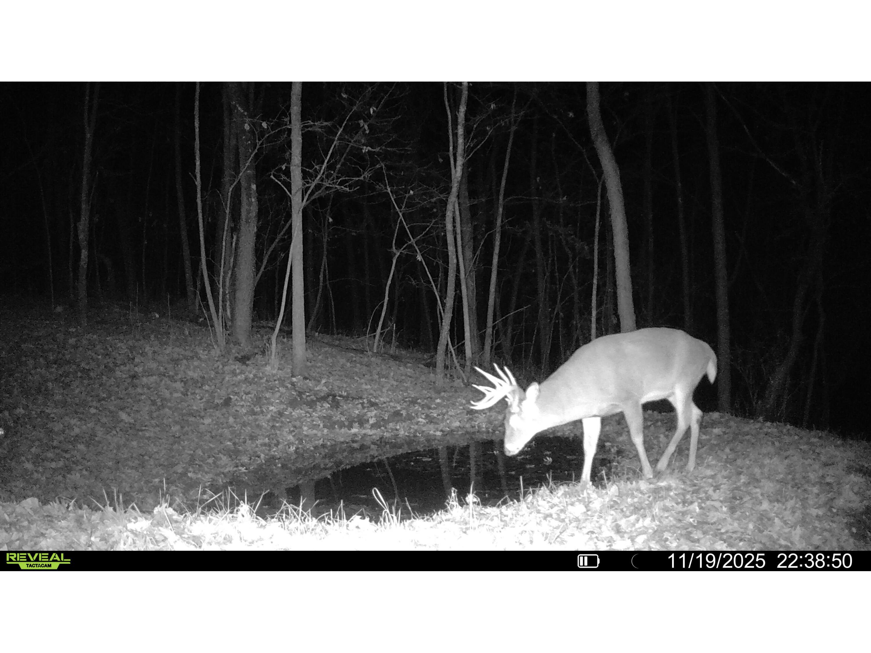 W27022 Whistlers Pass Dodge WI 54625 1947066 image72