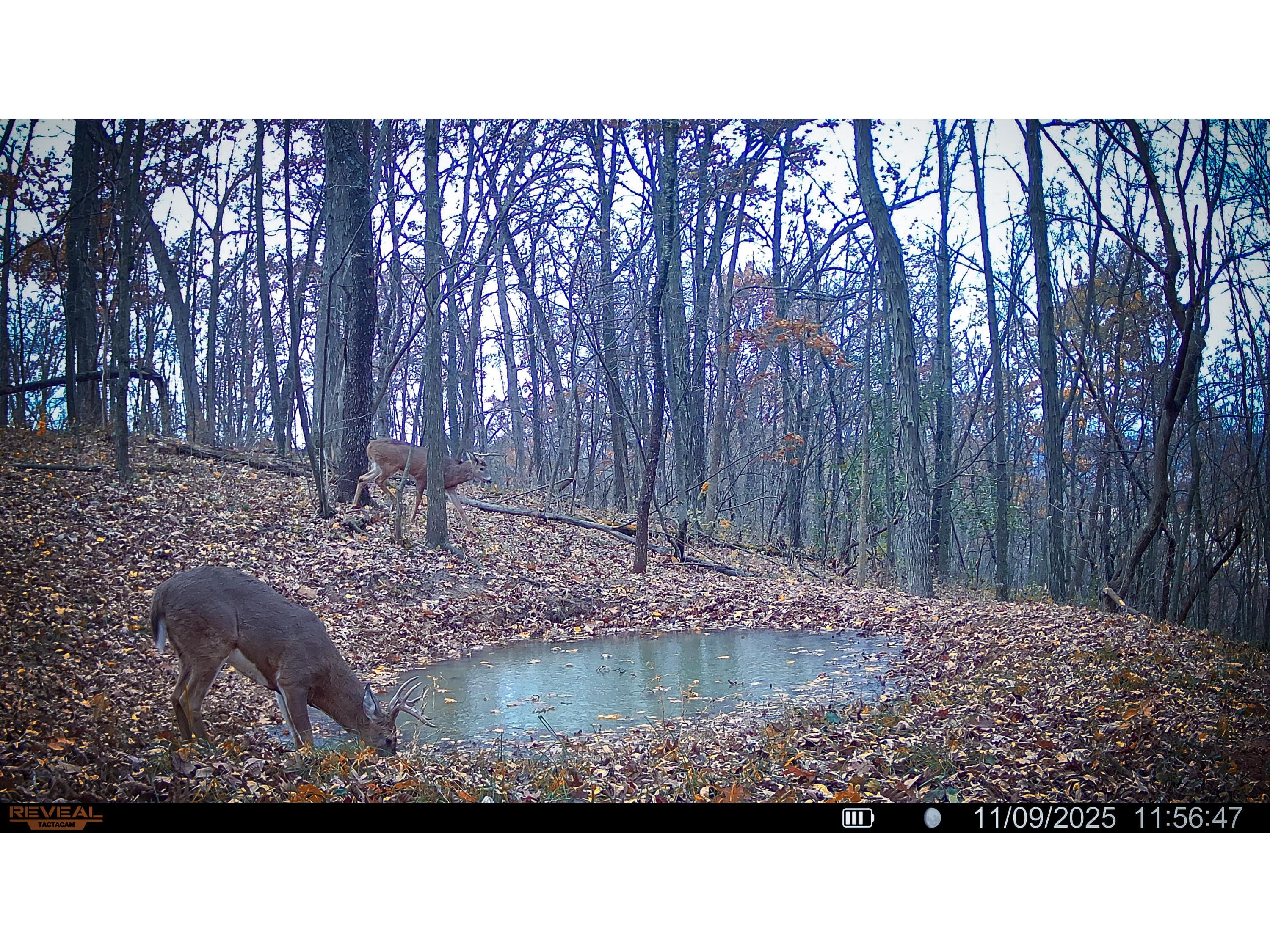 W27022 Whistlers Pass Dodge WI 54625 1947066 image74