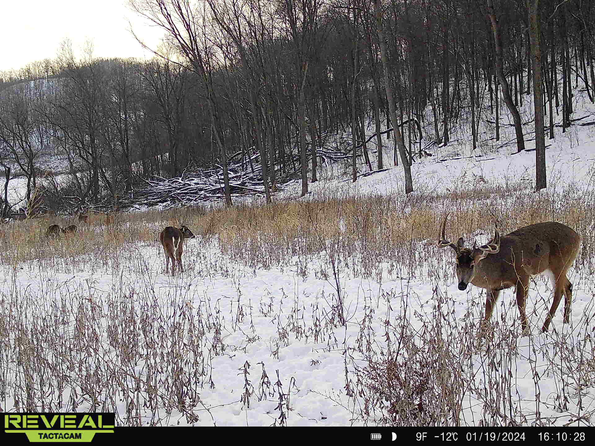 W27022 Whistlers Pass Dodge WI 54625 1947066 image78