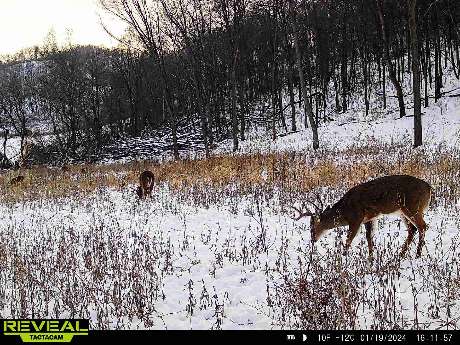 W27022 Whistlers Pass Dodge WI 54625 1947066 image79