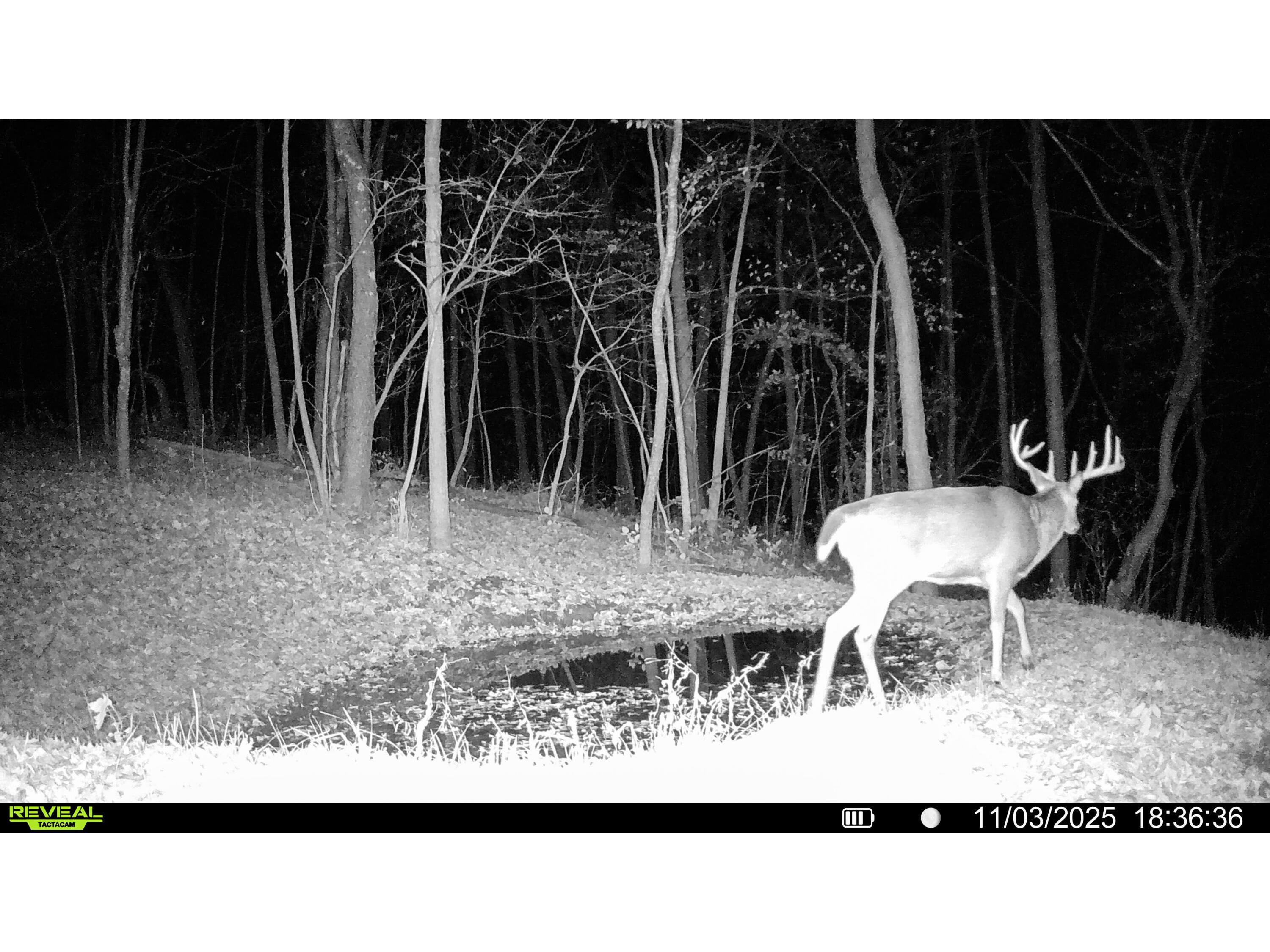 W27022 Whistlers Pass Dodge WI 54625 1947066 image8