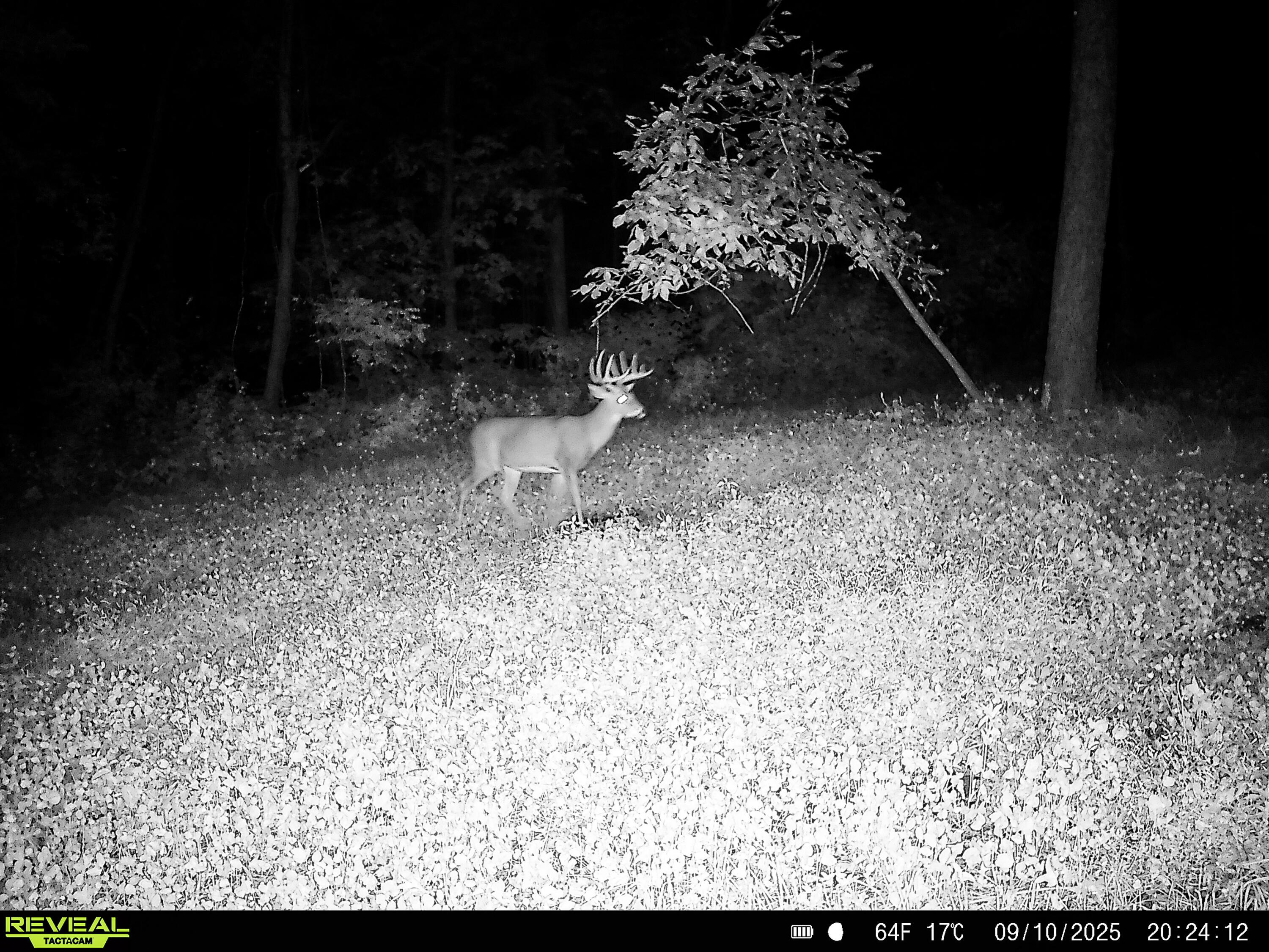 W27022 Whistlers Pass Dodge WI 54625 1947066 image80