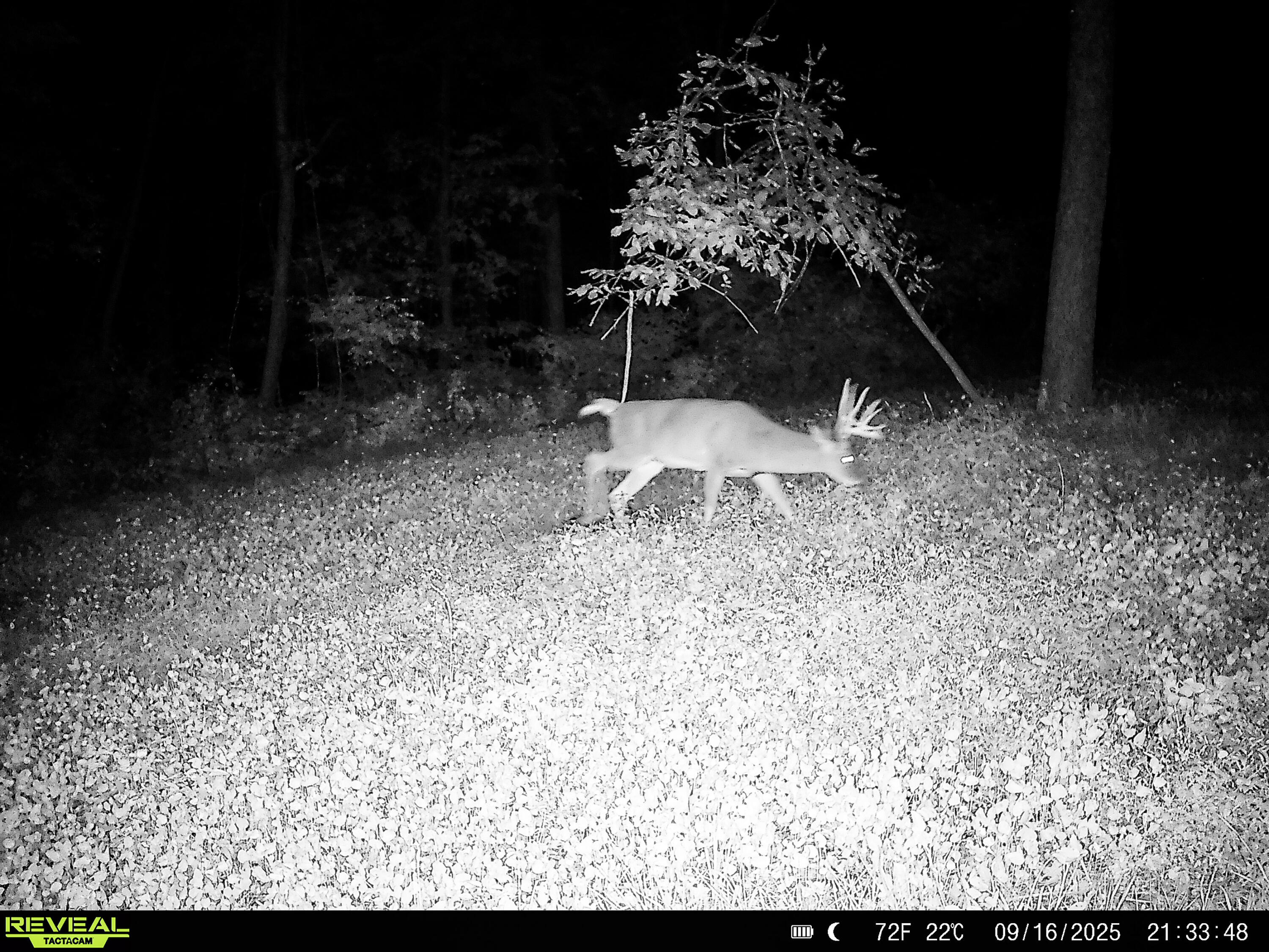 W27022 Whistlers Pass Dodge WI 54625 1947066 image81