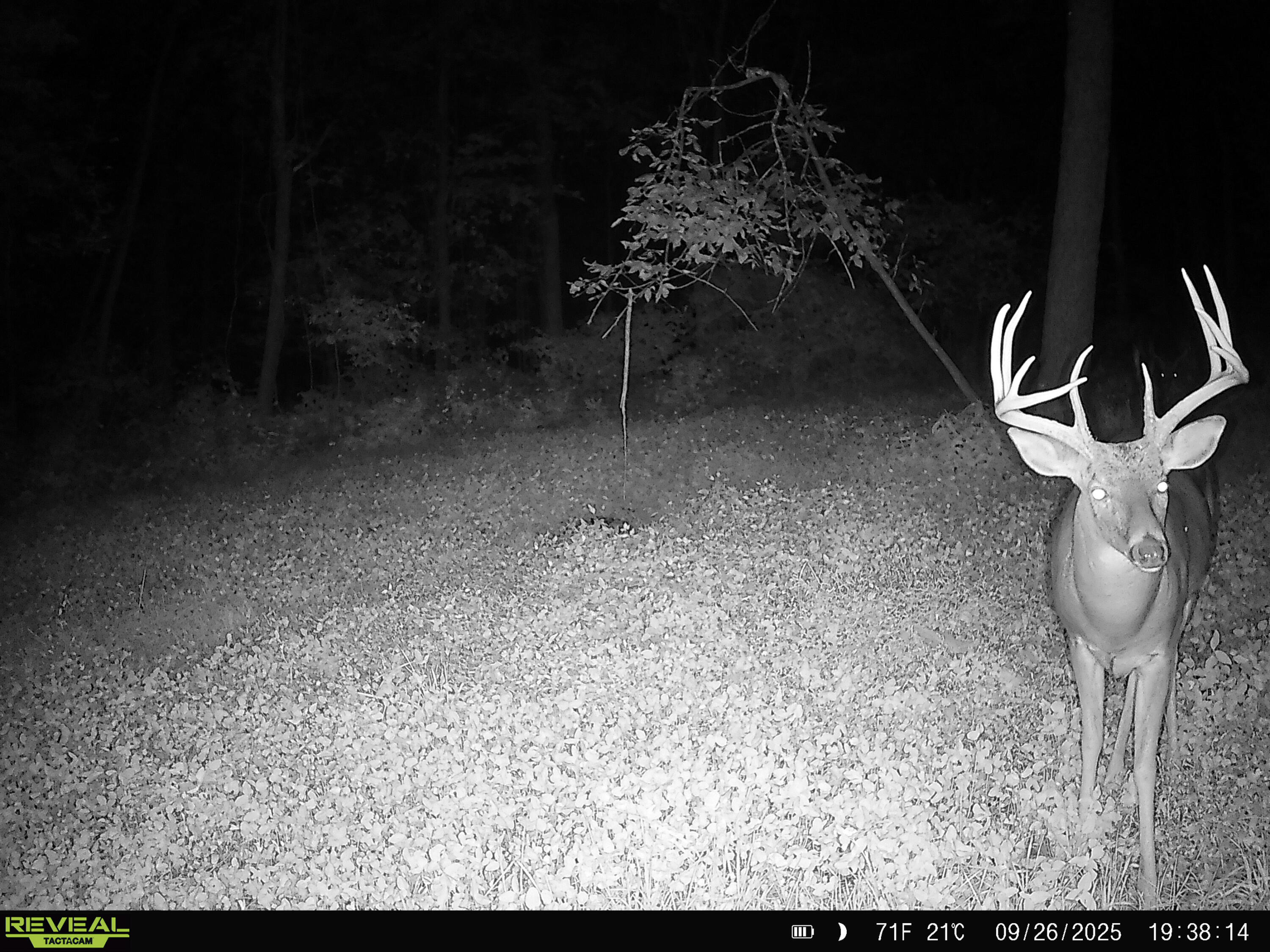 W27022 Whistlers Pass Dodge WI 54625 1947066 image82