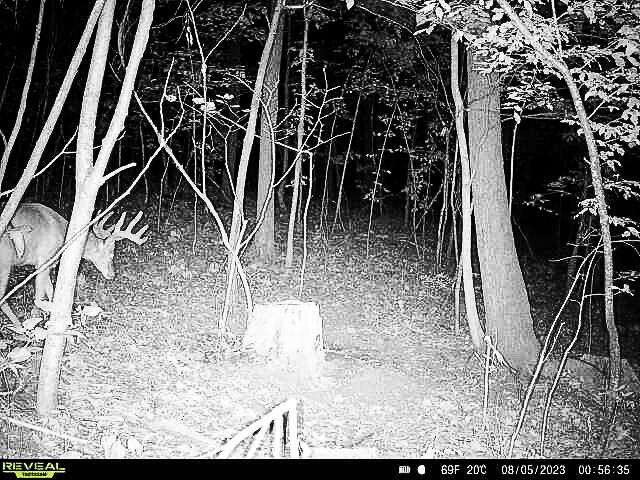 W27022 Whistlers Pass Dodge WI 54625 1947066 image87