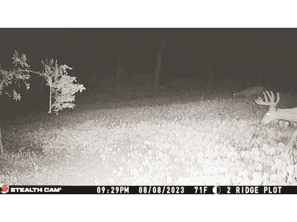 W27022 Whistlers Pass Dodge WI 54625 1947066 image88