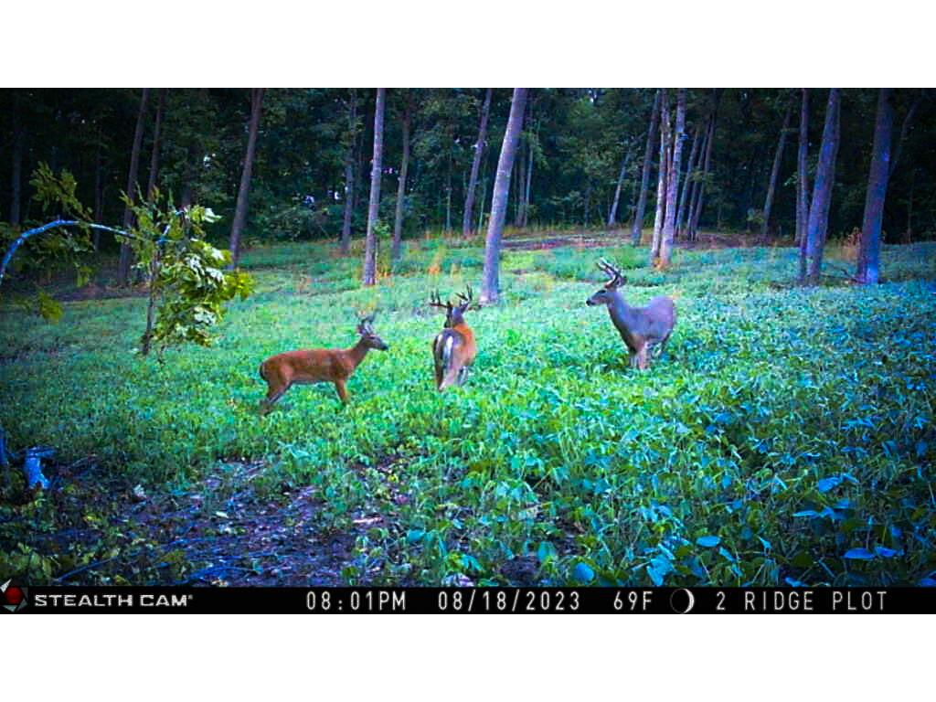 W27022 Whistlers Pass Dodge WI 54625 1947066 image90