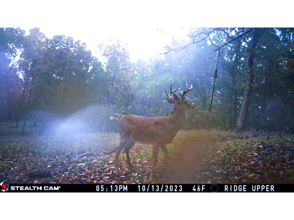 W27022 Whistlers Pass Dodge WI 54625 1947066 image91