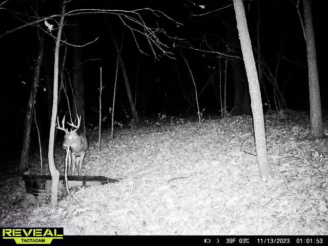 W27022 Whistlers Pass Dodge WI 54625 1947066 image92