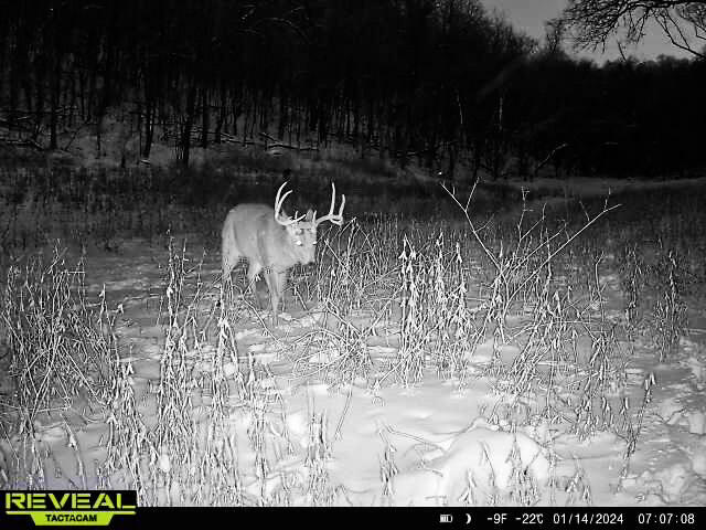 W27022 Whistlers Pass Dodge WI 54625 1947066 image94