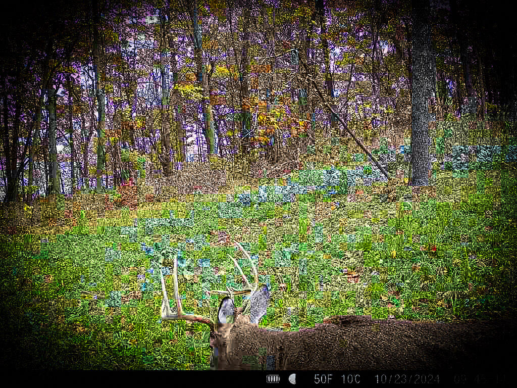 W27022 Whistlers Pass Dodge WI 54625 1947066 image99