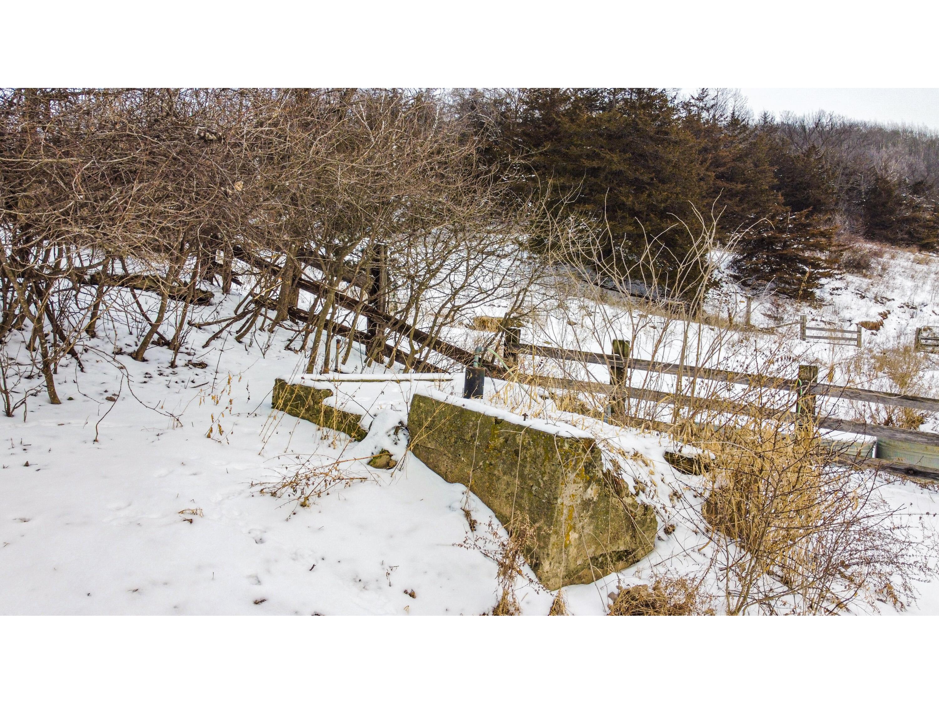 W3740 Evenson Farmington WI 54644 1946599 image11