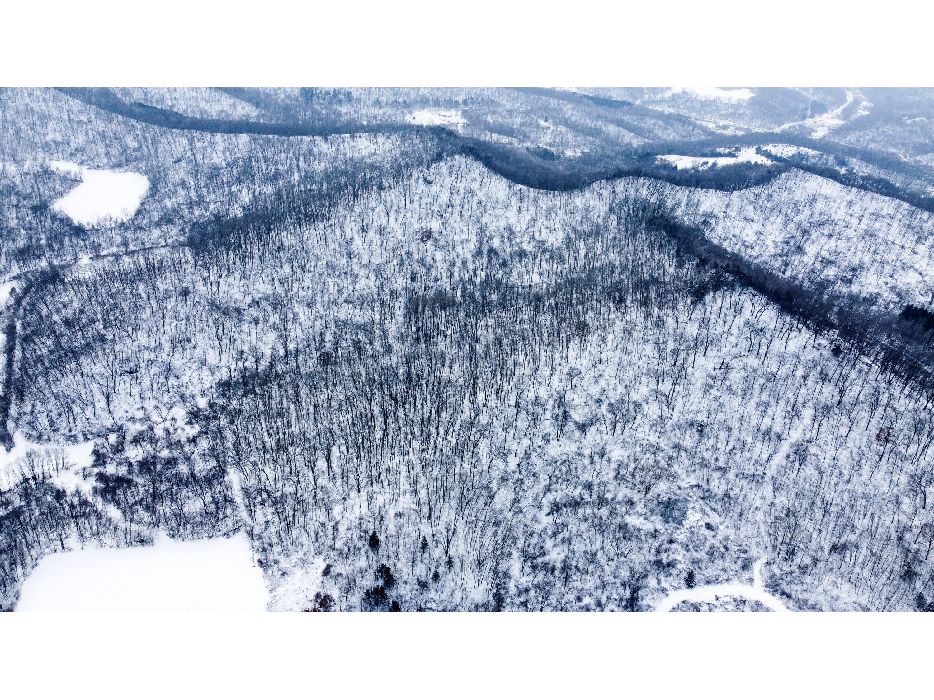 W3740 Evenson Farmington WI 54644 1946599 image13