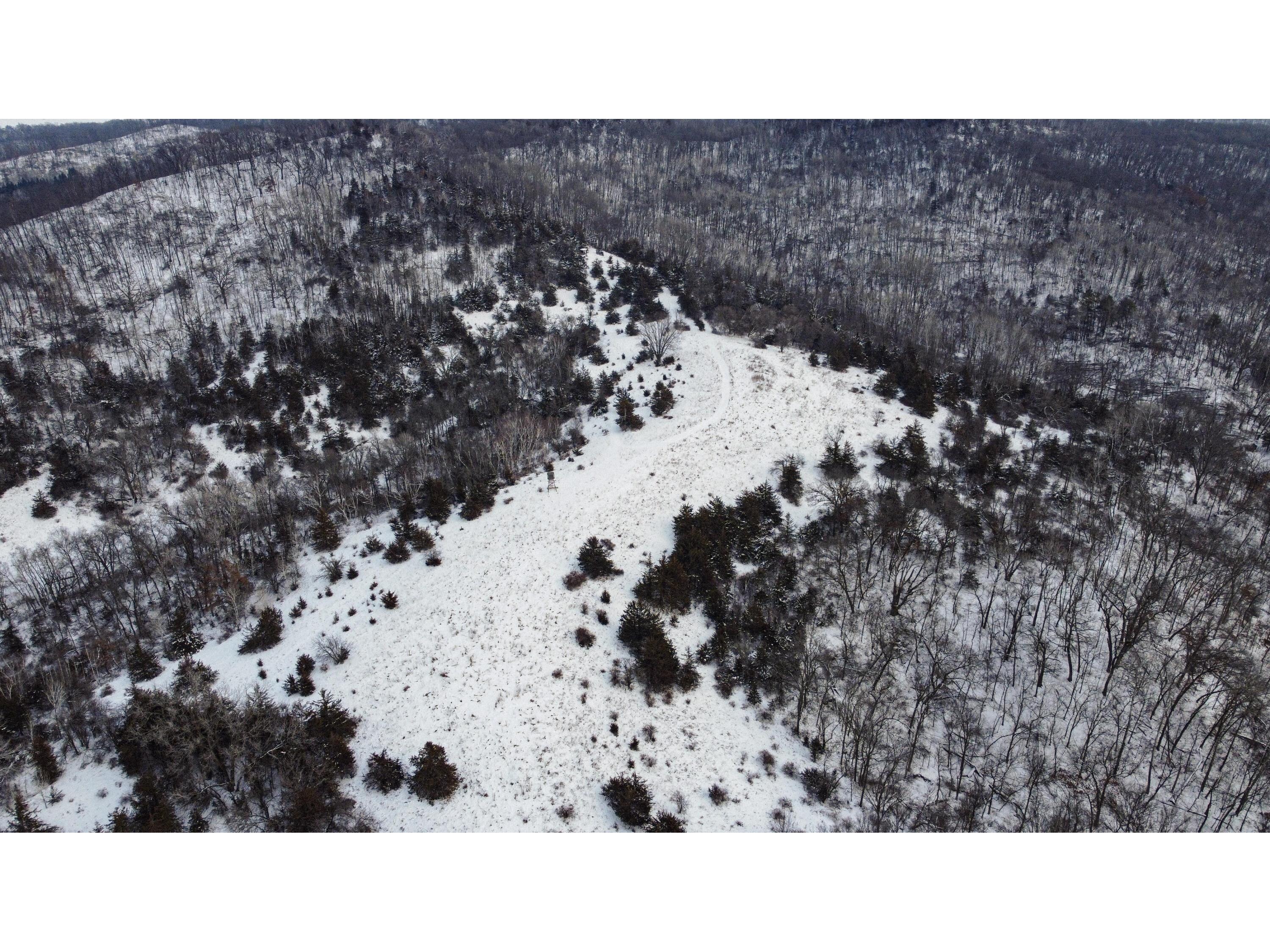 W3740 Evenson Farmington WI 54644 1946599 image14