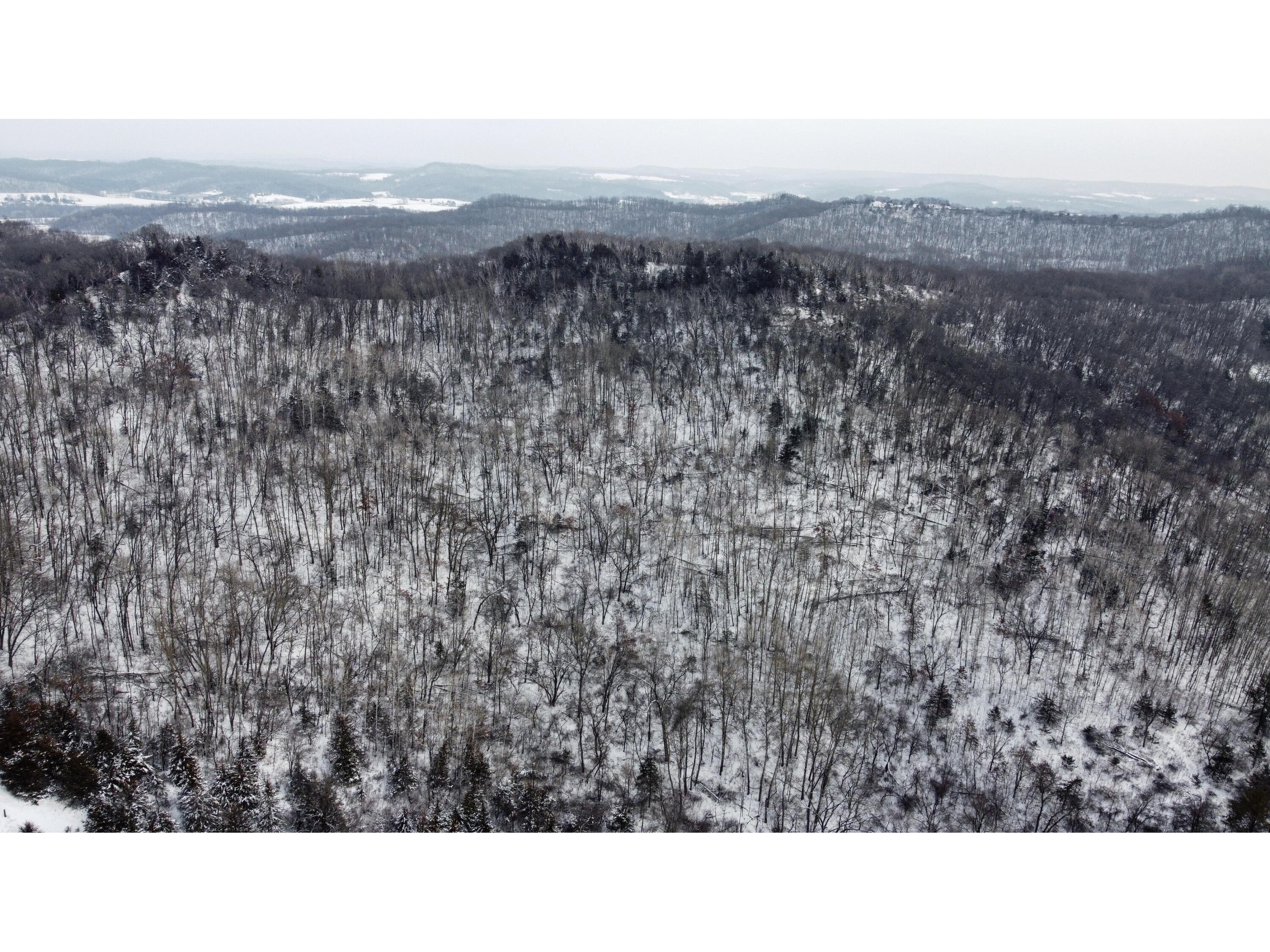 W3740 Evenson Farmington WI 54644 1946599 image17