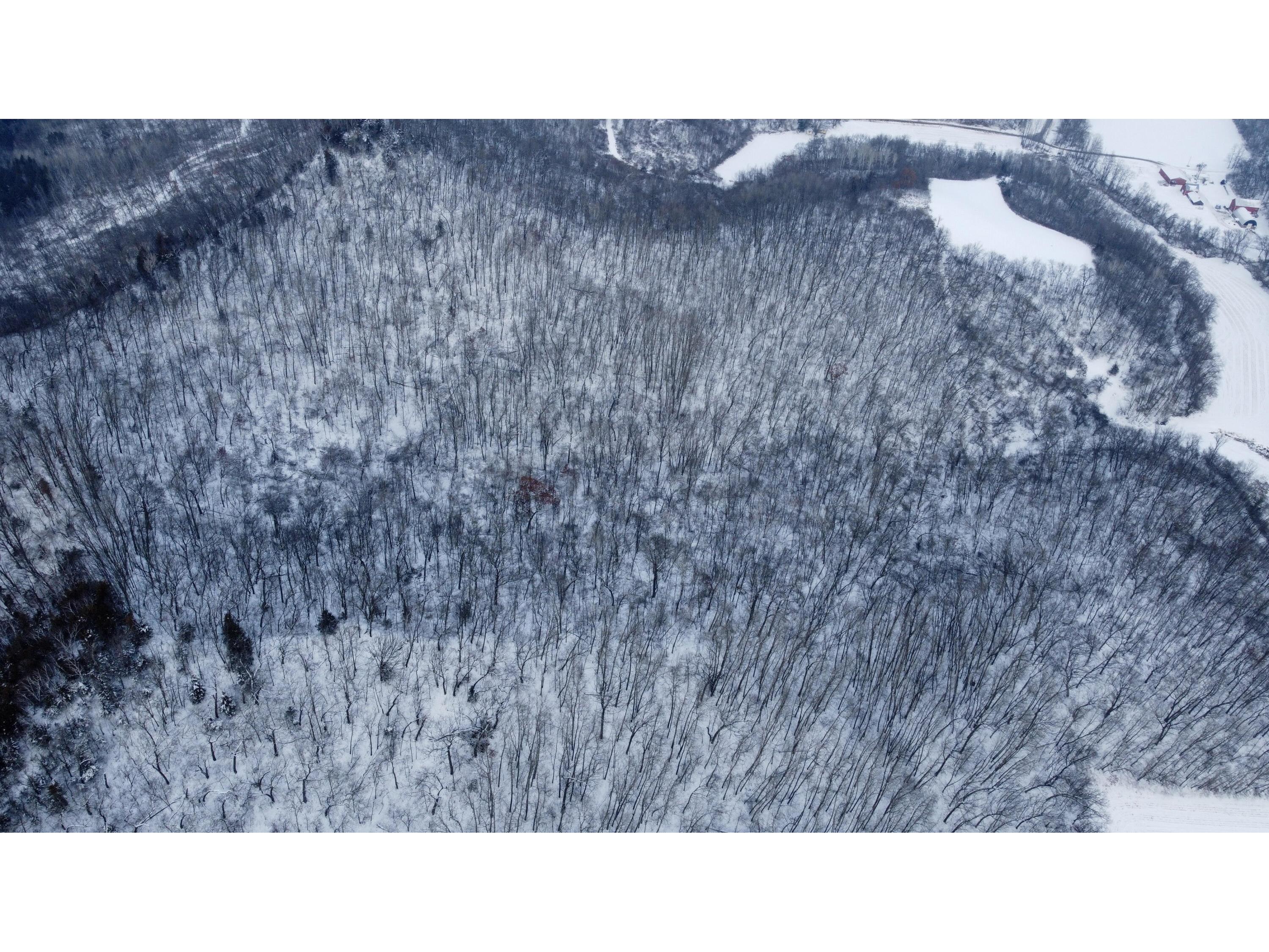 W3740 Evenson Farmington WI 54644 1946599 image20