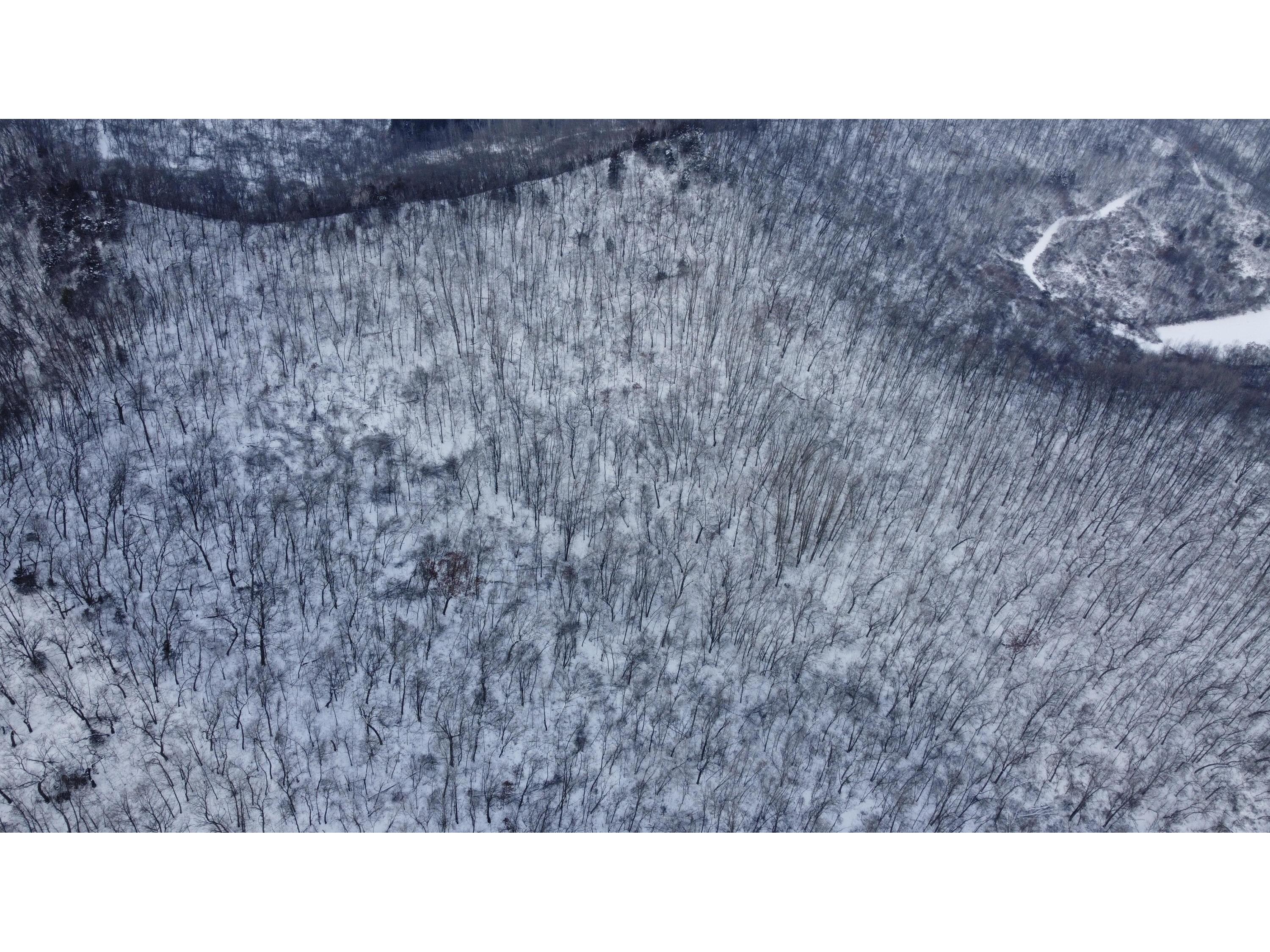 W3740 Evenson Farmington WI 54644 1946599 image22