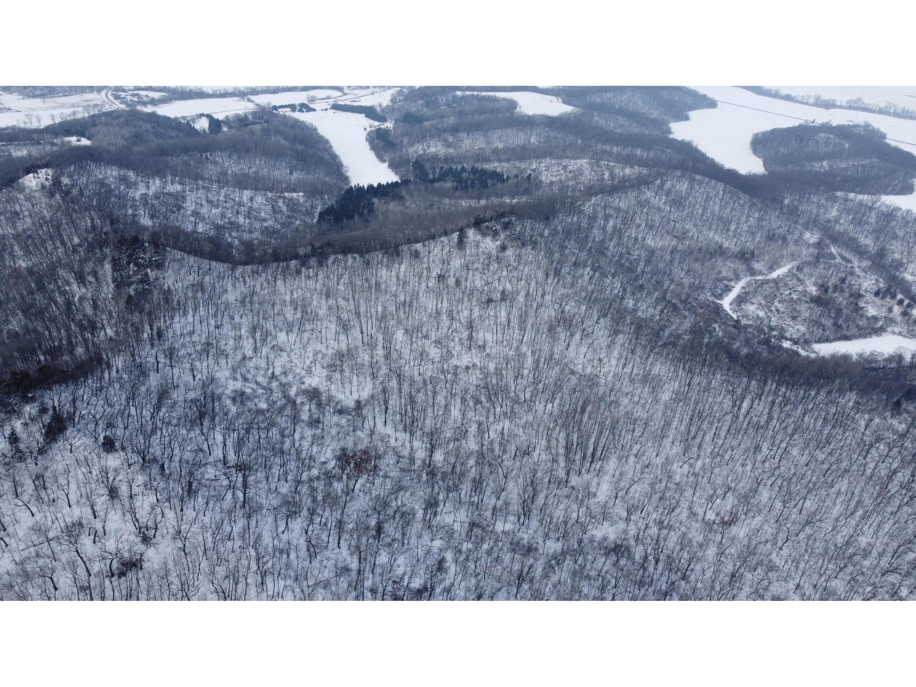 W3740 Evenson Farmington WI 54644 1946599 image23