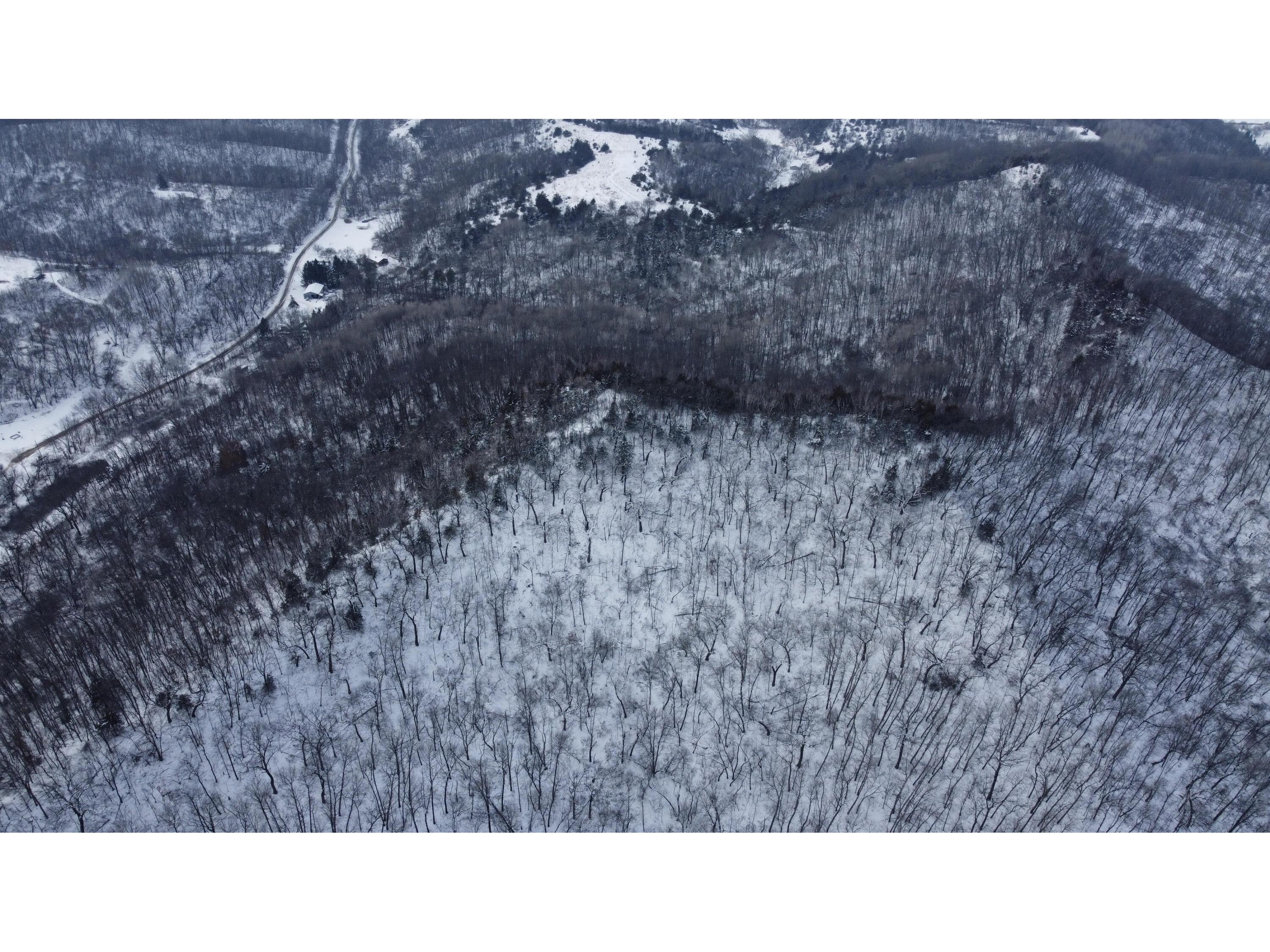 W3740 Evenson Farmington WI 54644 1946599 image24