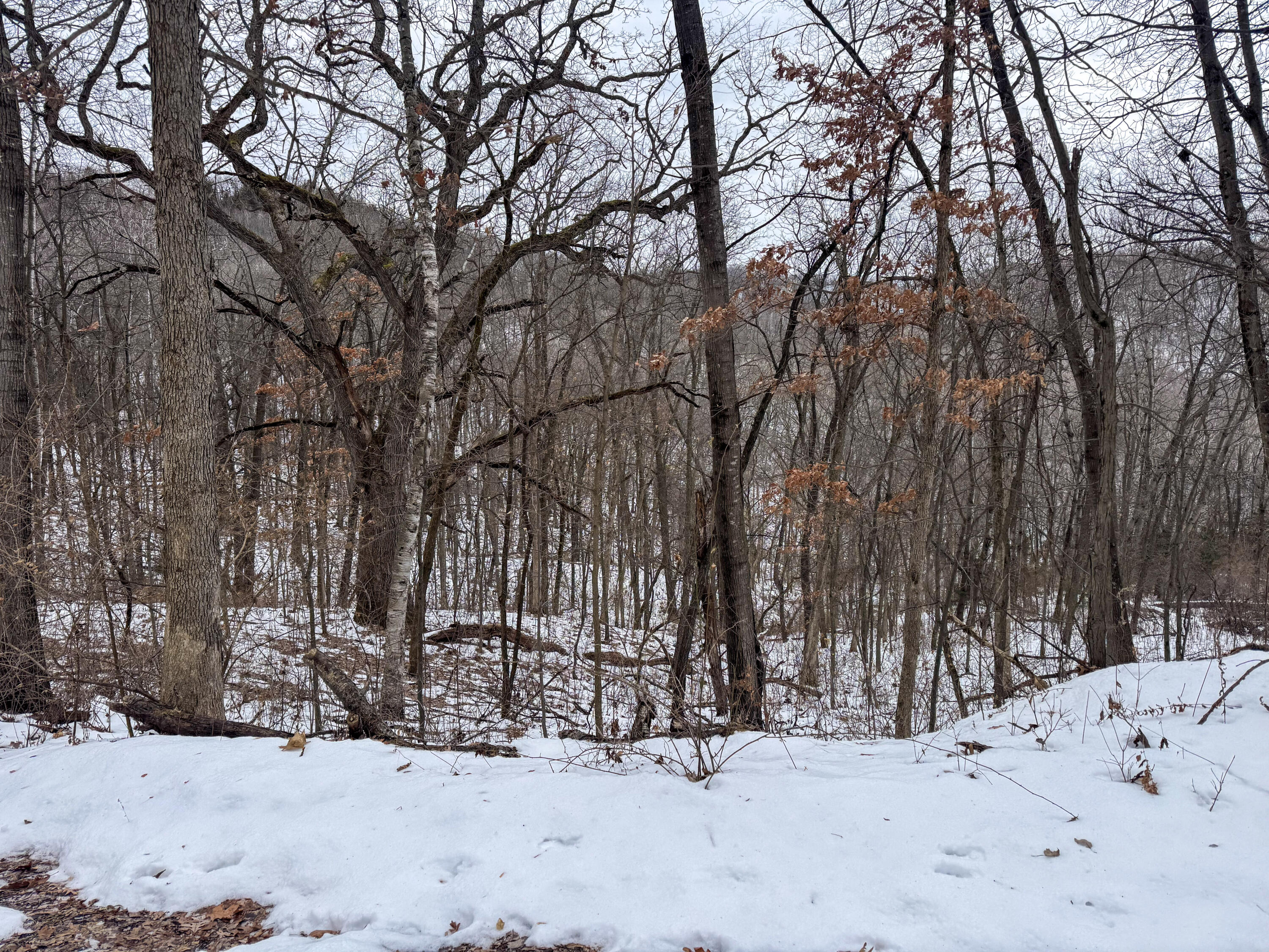 W3740 Evenson Farmington WI 54644 1946599 image29