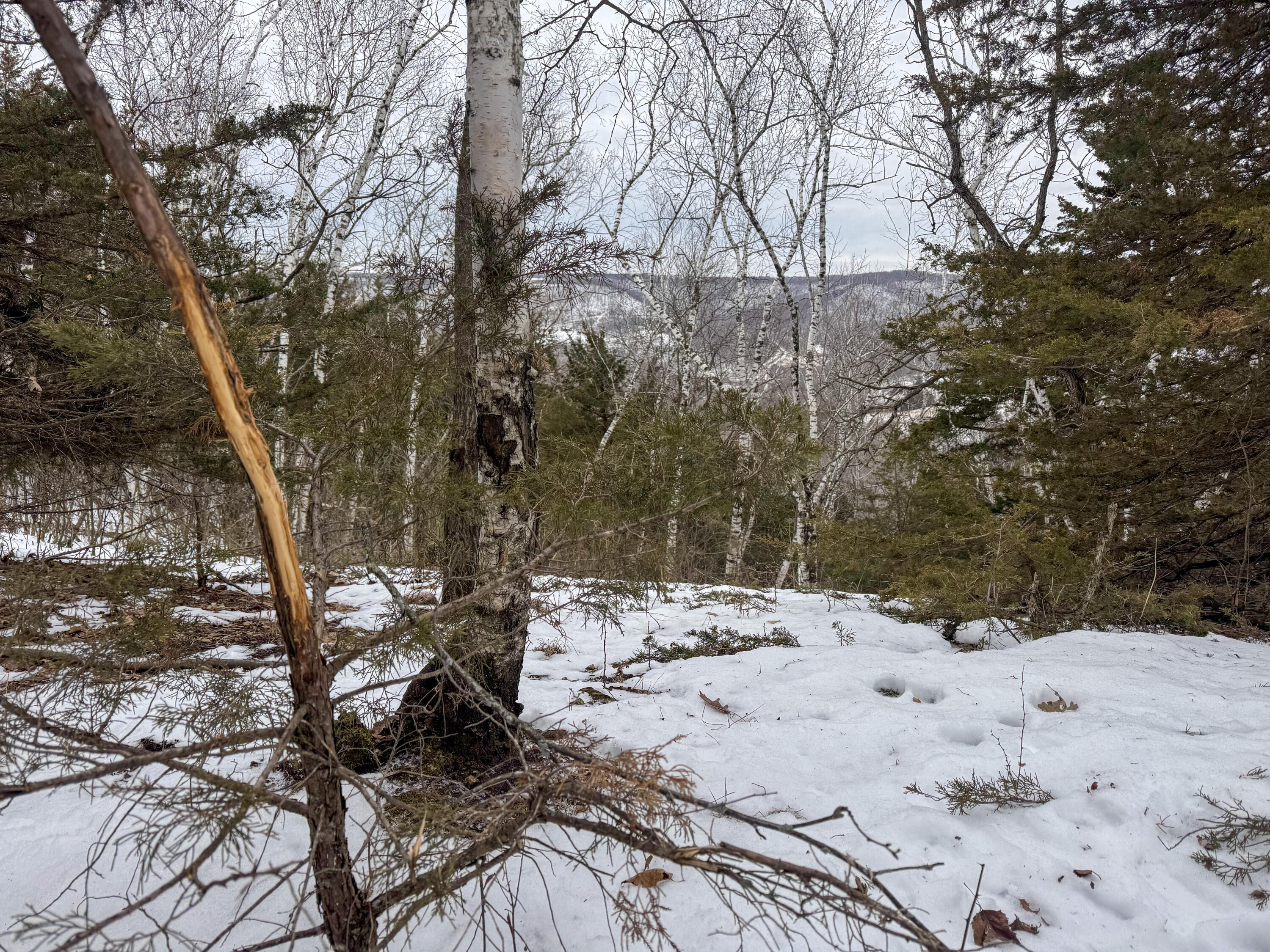 W3740 Evenson Farmington WI 54644 1946599 image30