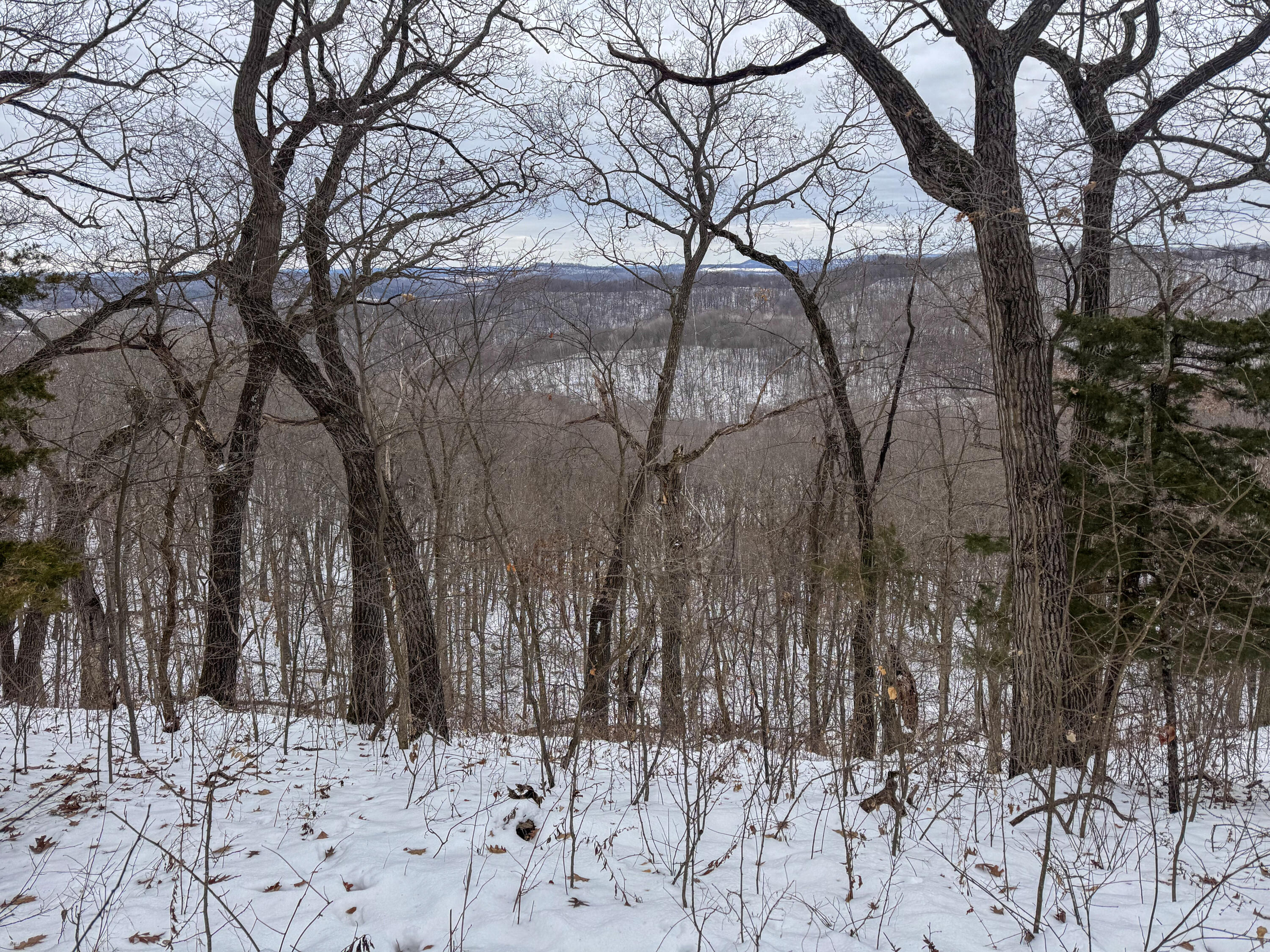 W3740 Evenson Farmington WI 54644 1946599 image32