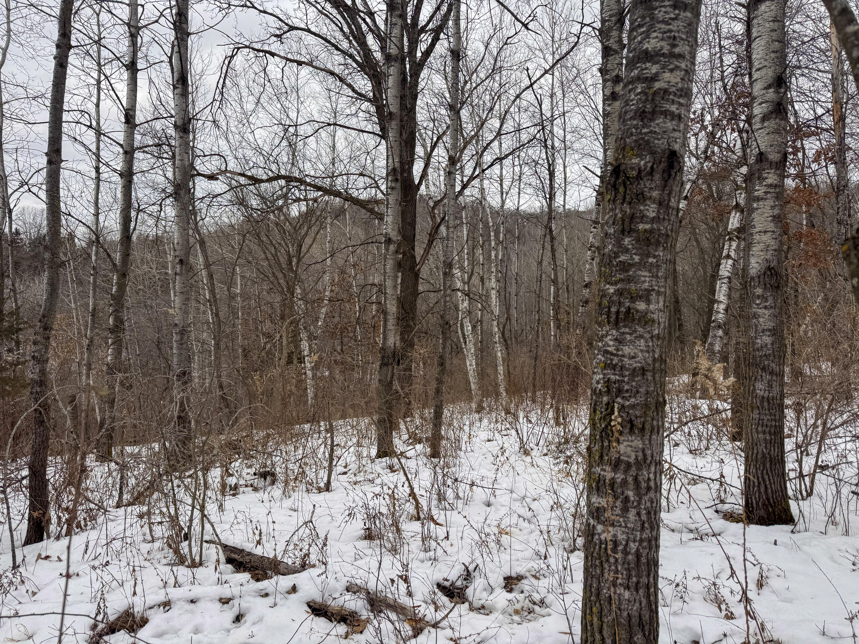 W3740 Evenson Farmington WI 54644 1946599 image35