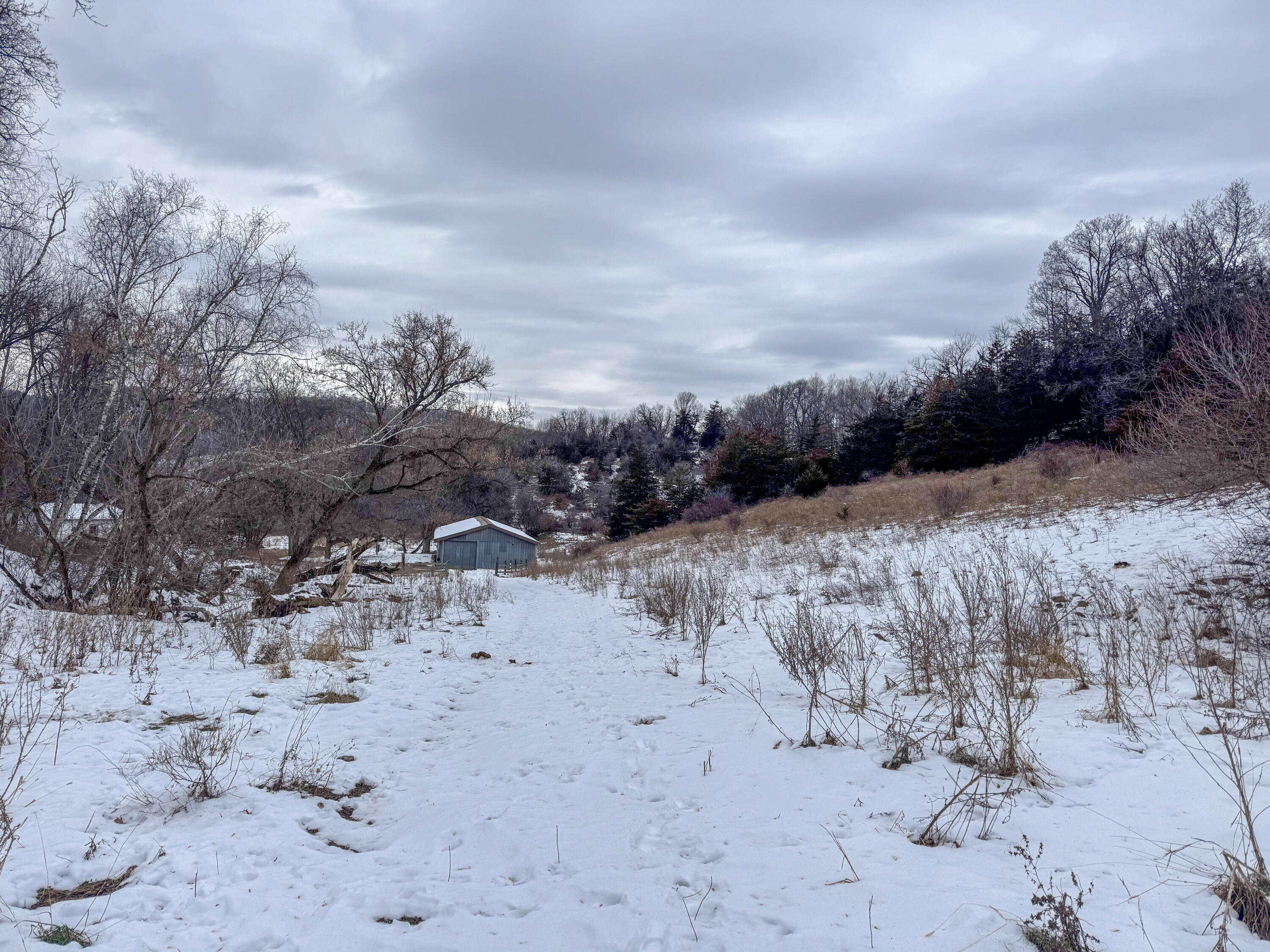 W3740 Evenson Farmington WI 54644 1946599 image38