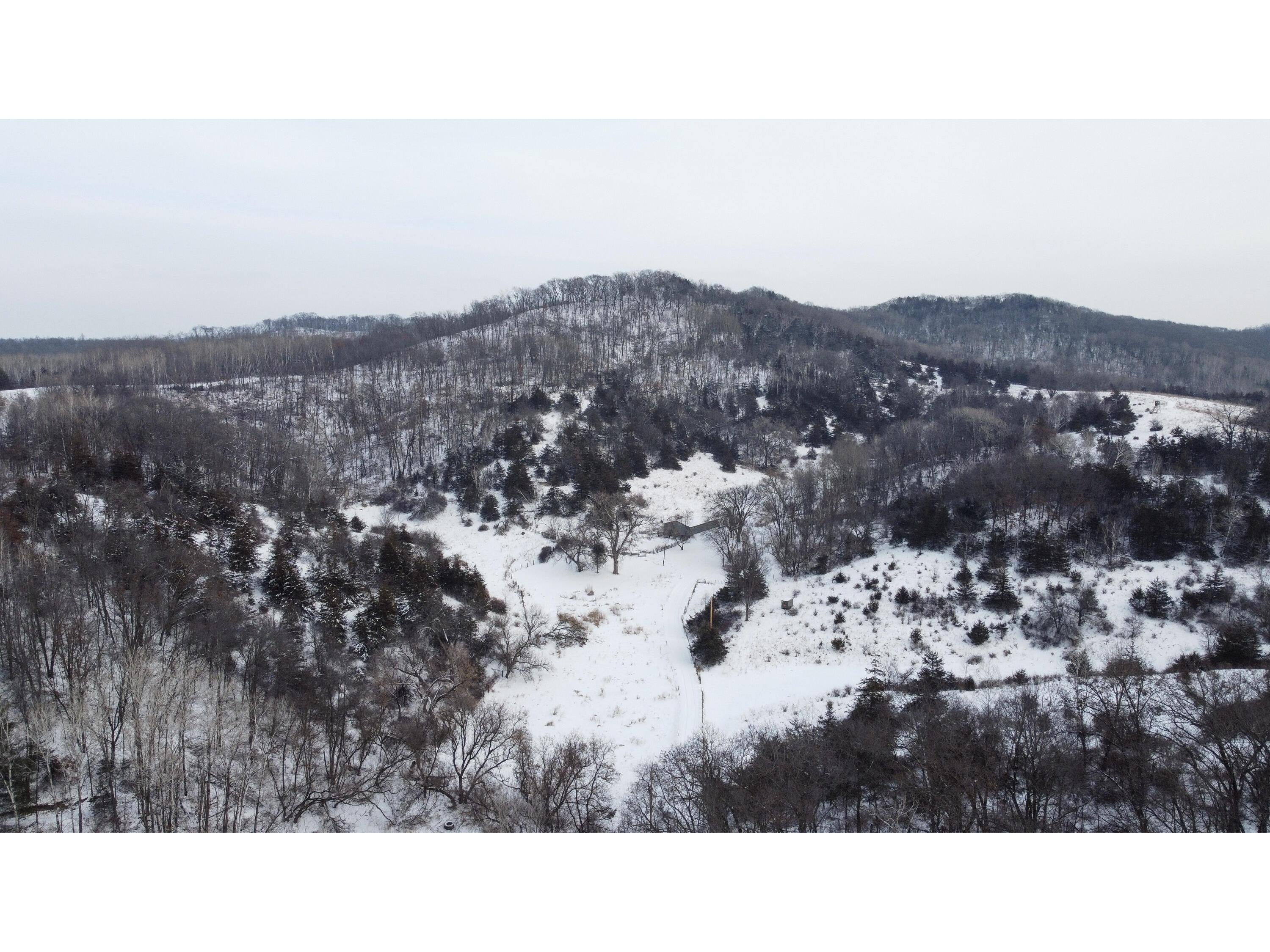 W3740 Evenson Farmington WI 54644 1946599 image39