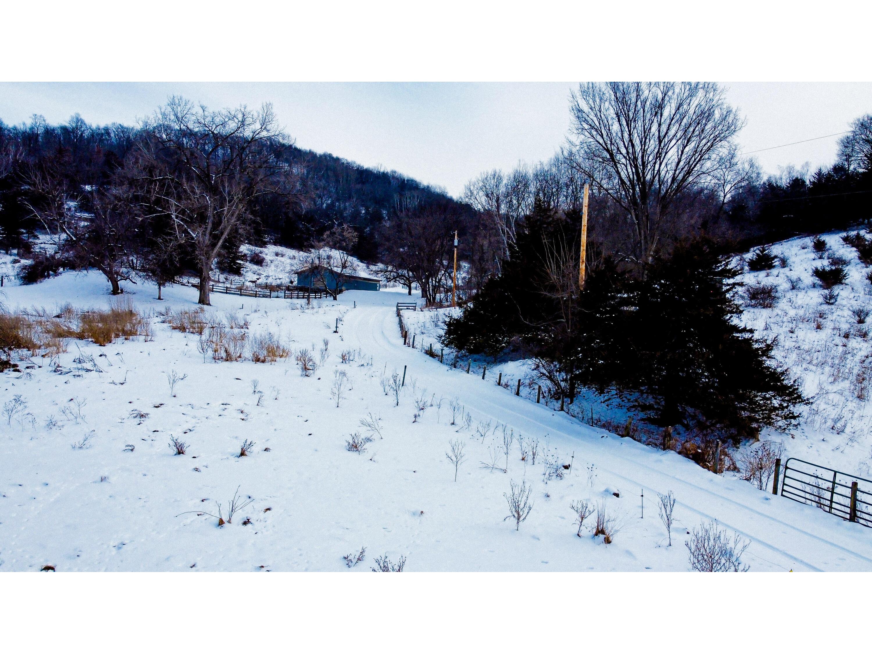 W3740 Evenson Farmington WI 54644 1946599 image4