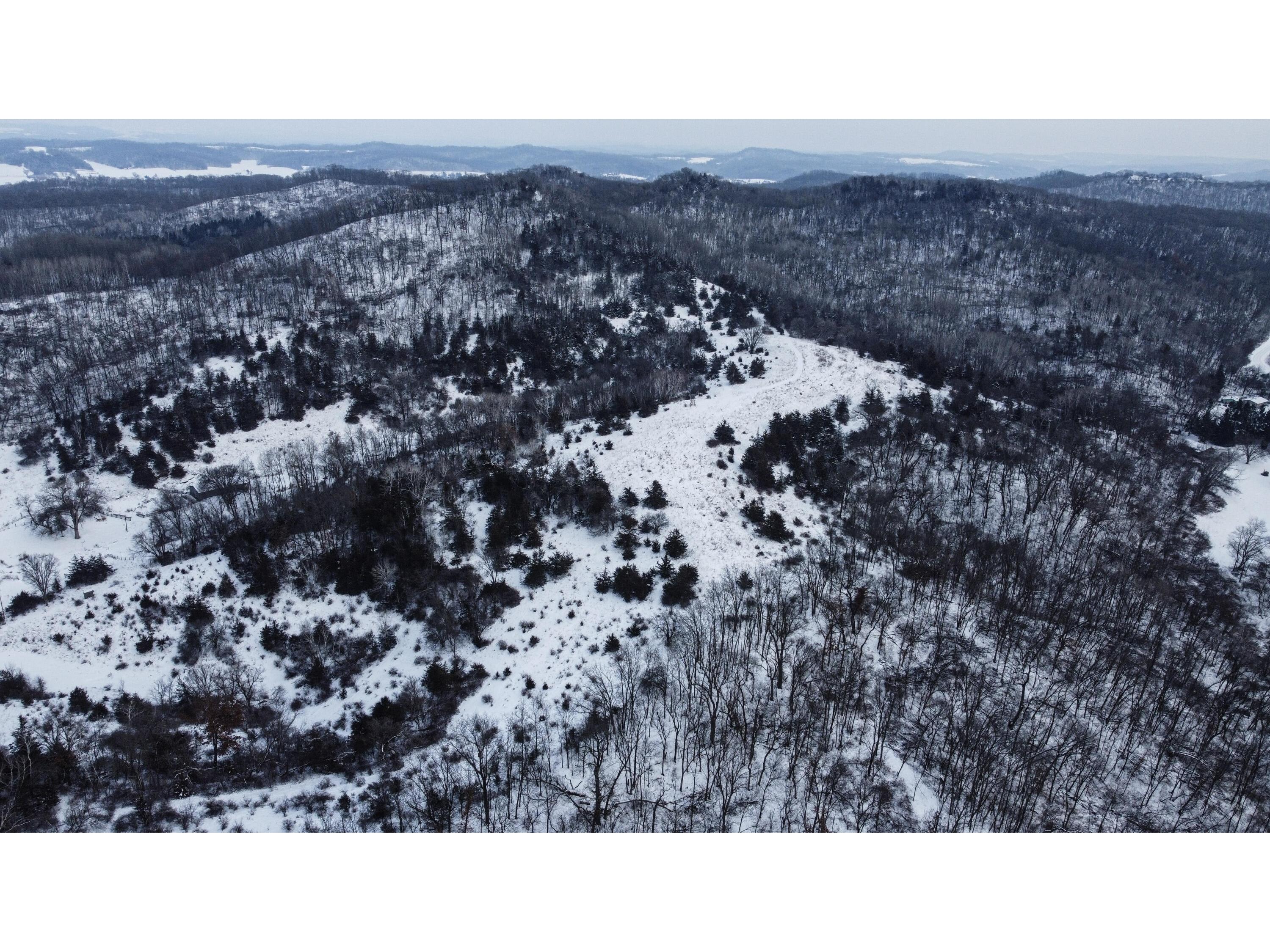 W3740 Evenson Farmington WI 54644 1946599 image41