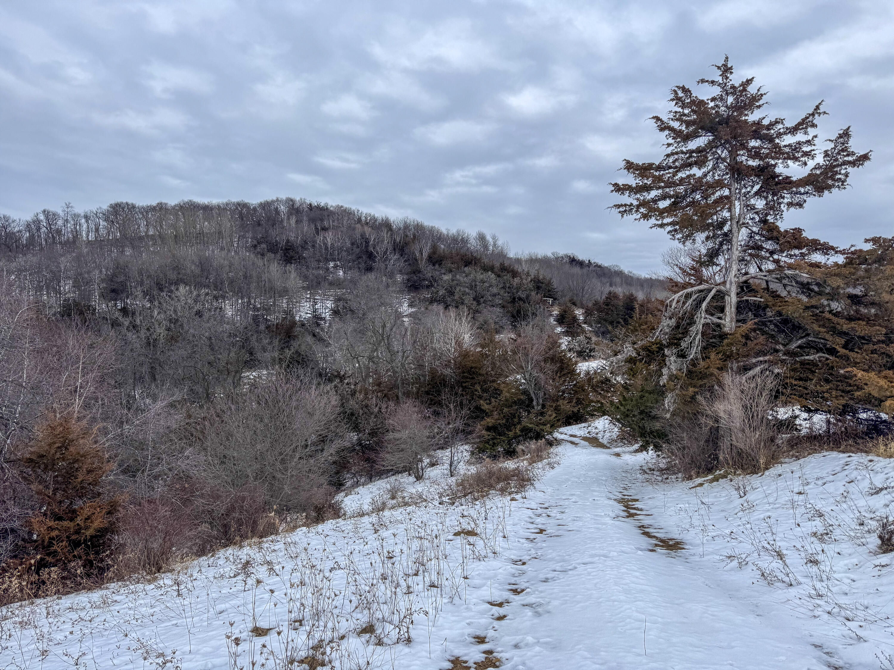 W3740 Evenson Farmington WI 54644 1946599 image43