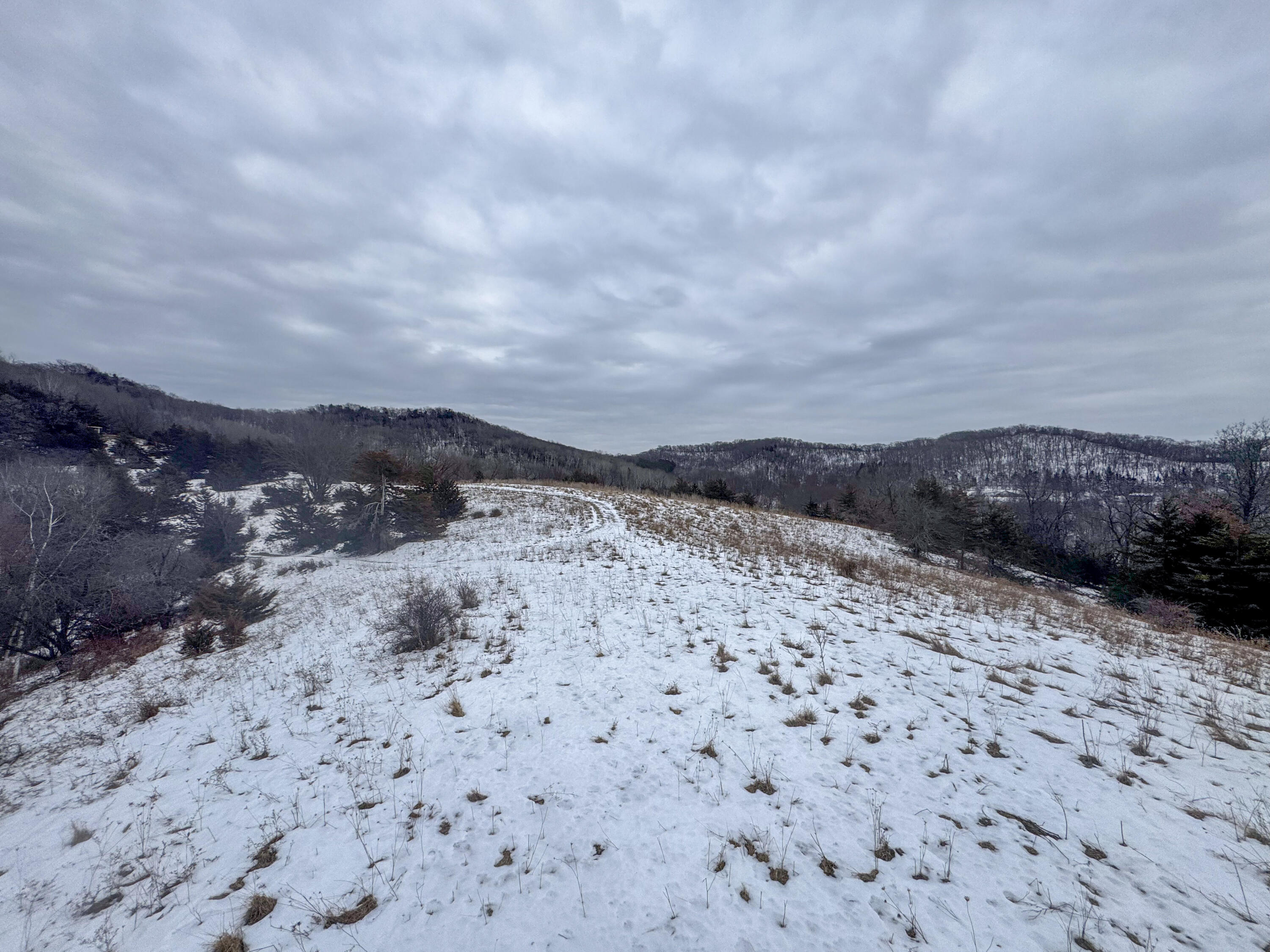 W3740 Evenson Farmington WI 54644 1946599 image44