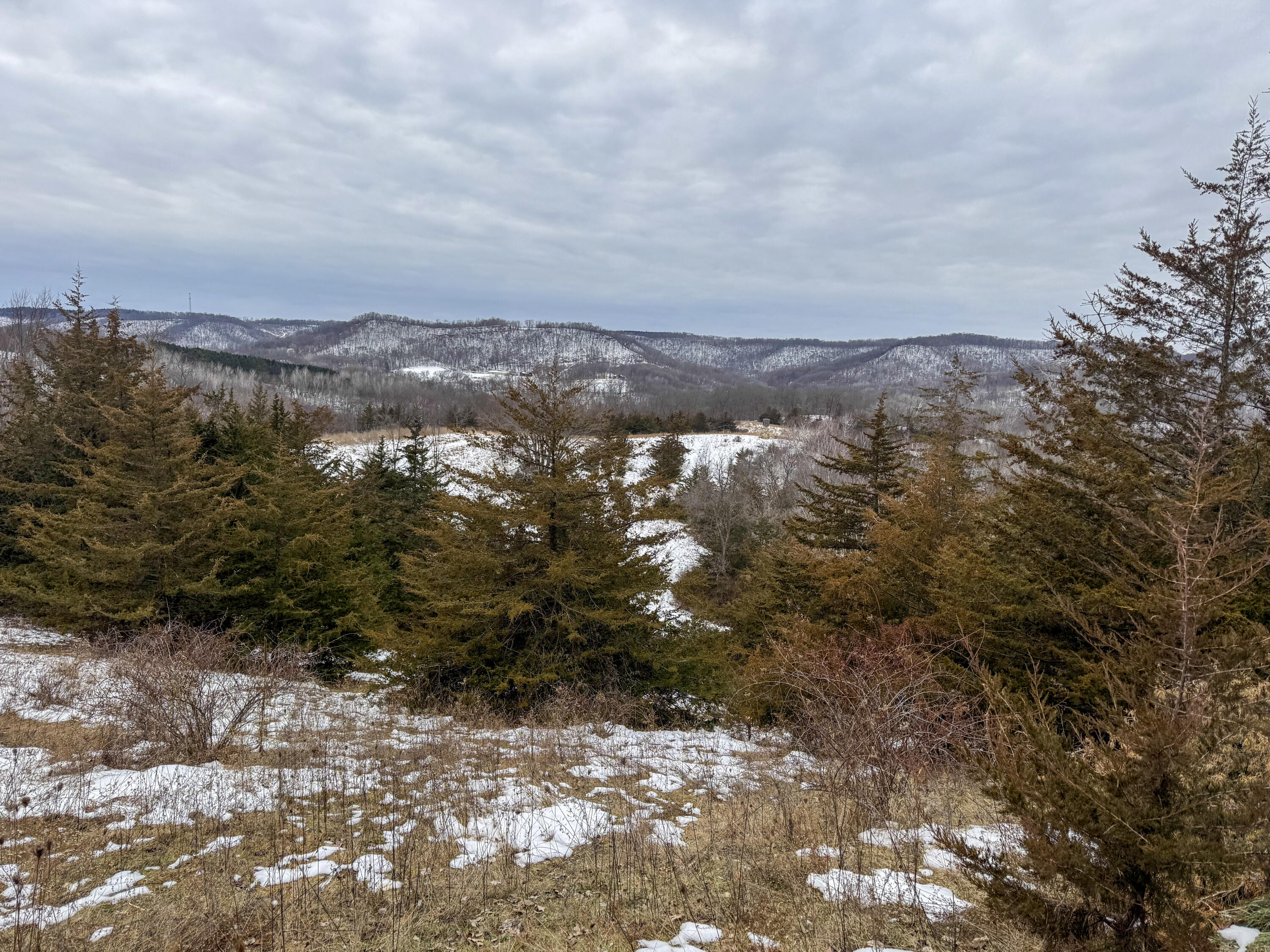 W3740 Evenson Farmington WI 54644 1946599 image45