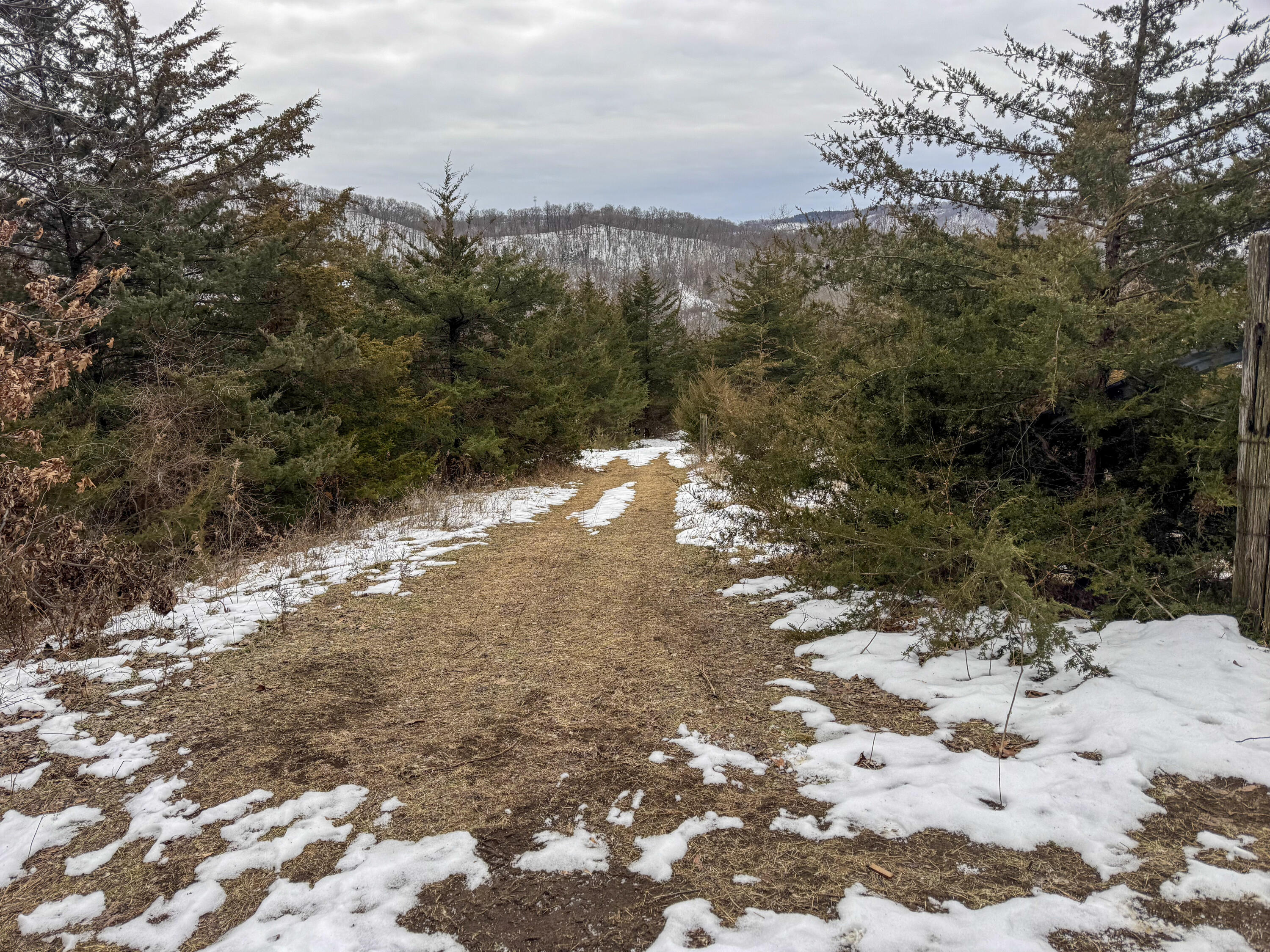 W3740 Evenson Farmington WI 54644 1946599 image46