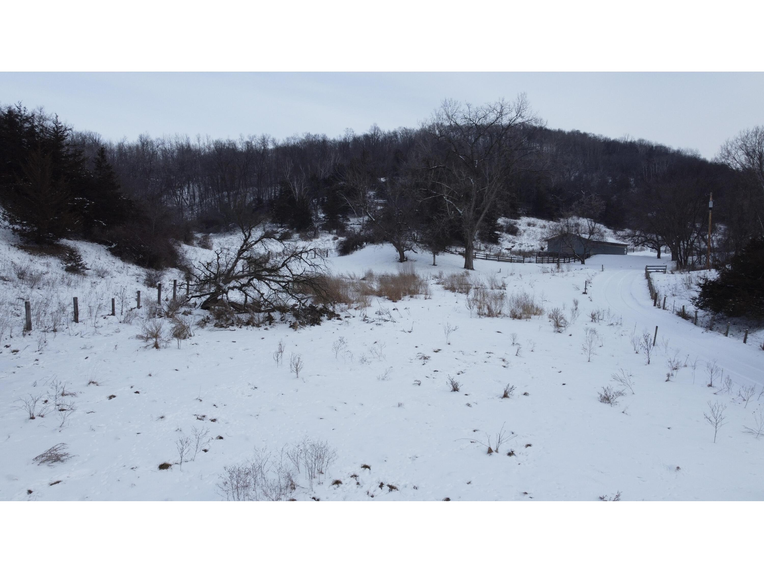 W3740 Evenson Farmington WI 54644 1946599 image7