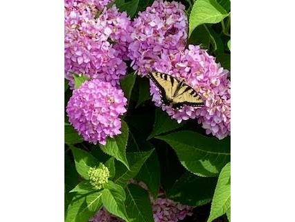 W3849 US Highway 14/61 Greenfield WI 54623 1956665 image10