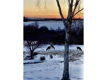 W3849 US Highway 14/61 Greenfield WI 54623 1956665 image12