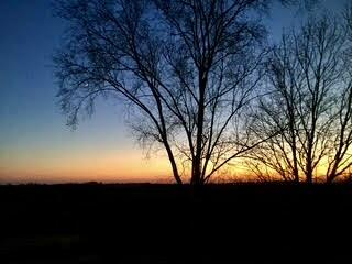 W3849 US Highway 14/61 Greenfield WI 54623 1956665 image31