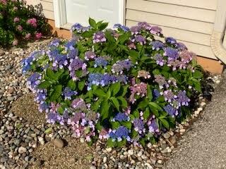 W3849 US Highway 14/61 Greenfield WI 54623 1956665 image9