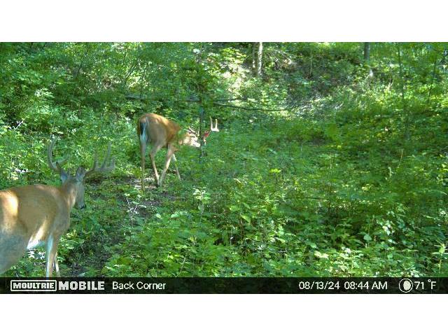 W4824 Puent Barre WI 54601 1955418 image16
