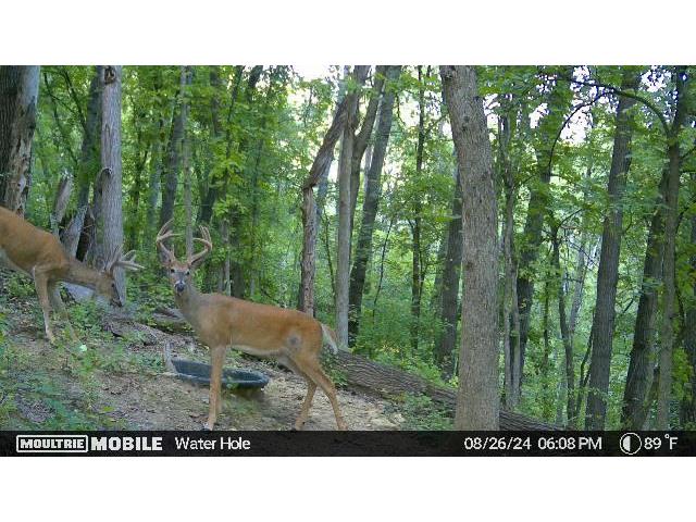 W4824 Puent Barre WI 54601 1955418 image17