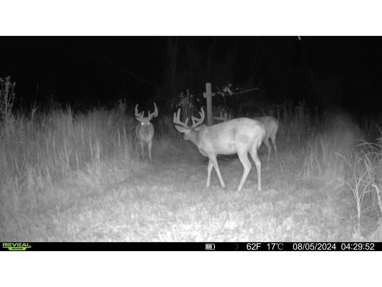 W5778 Koss Onalaska WI 54650 1962549 image39