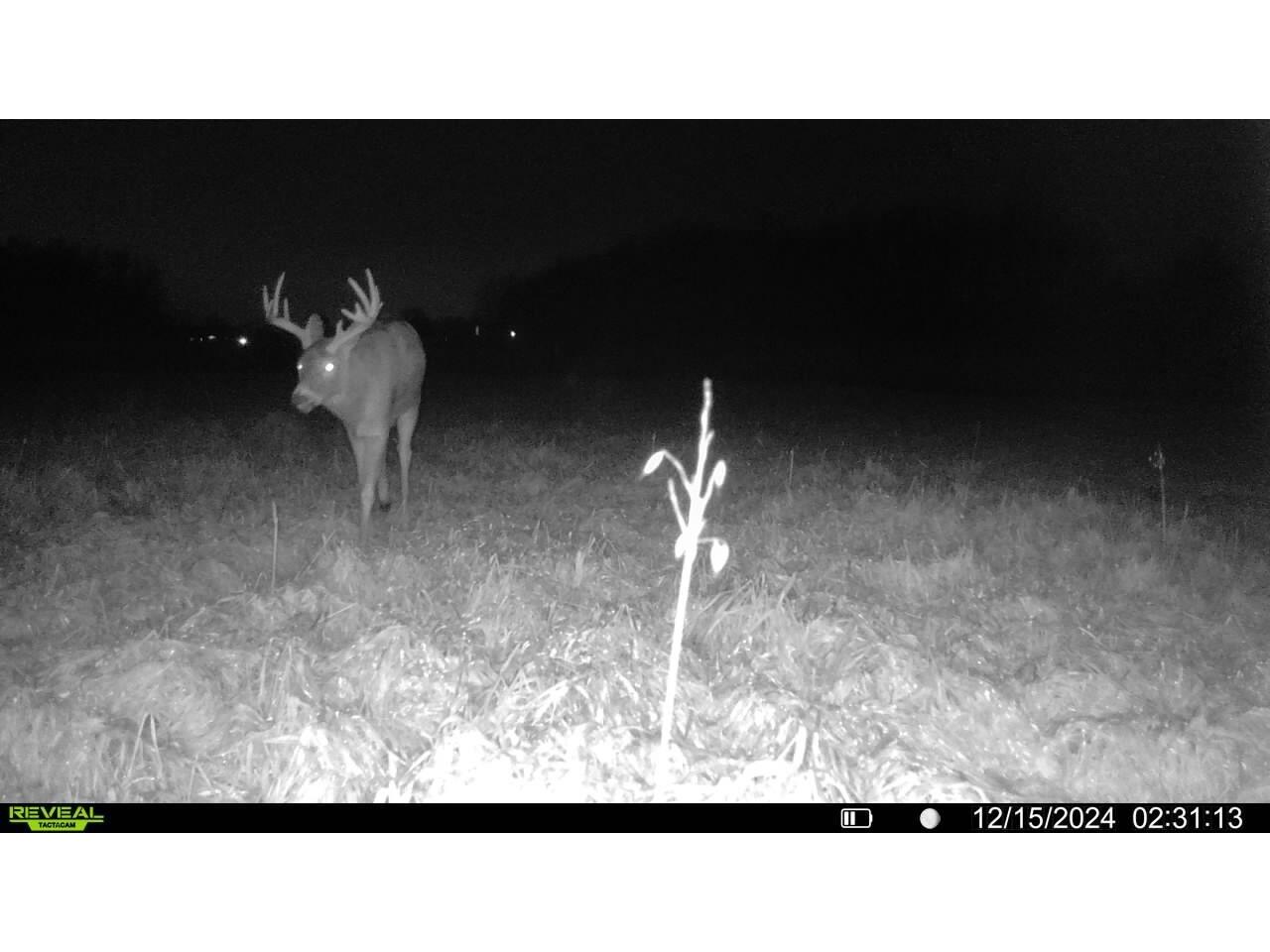 W5778 Koss Onalaska WI 54650 1962549 image41