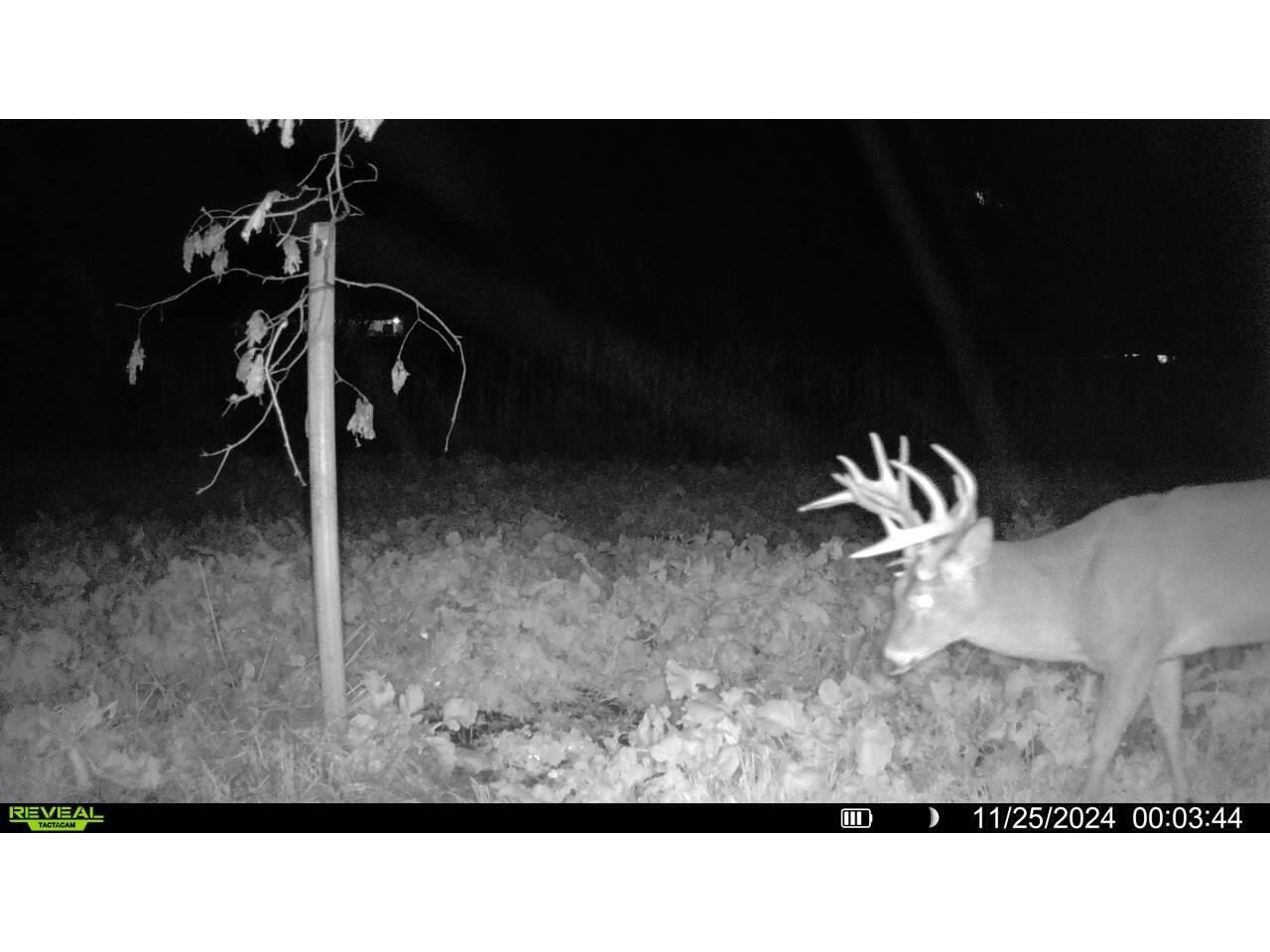 W5778 Koss Onalaska WI 54650 1962549 image43