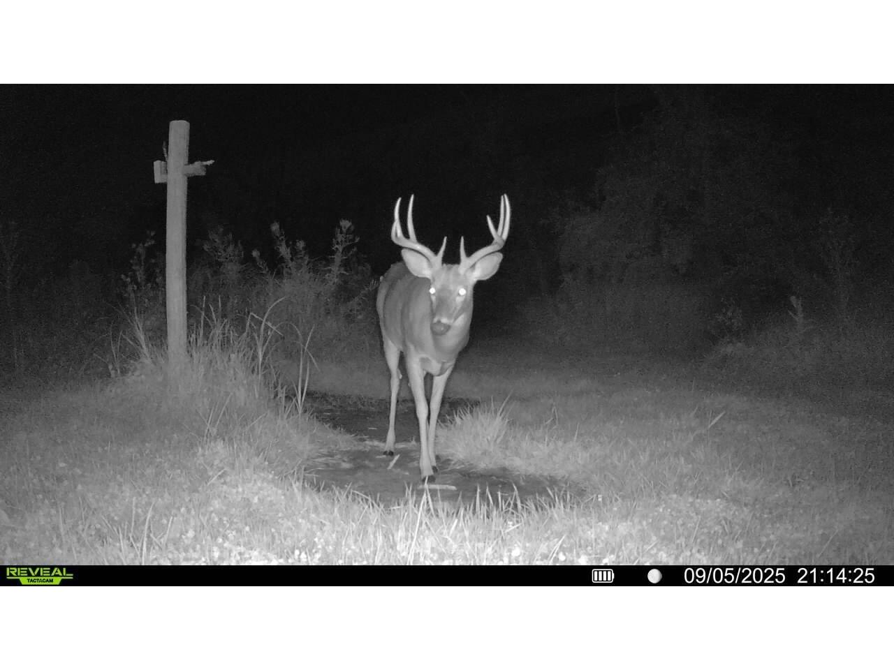 W5778 Koss Onalaska WI 54650 1962549 image49
